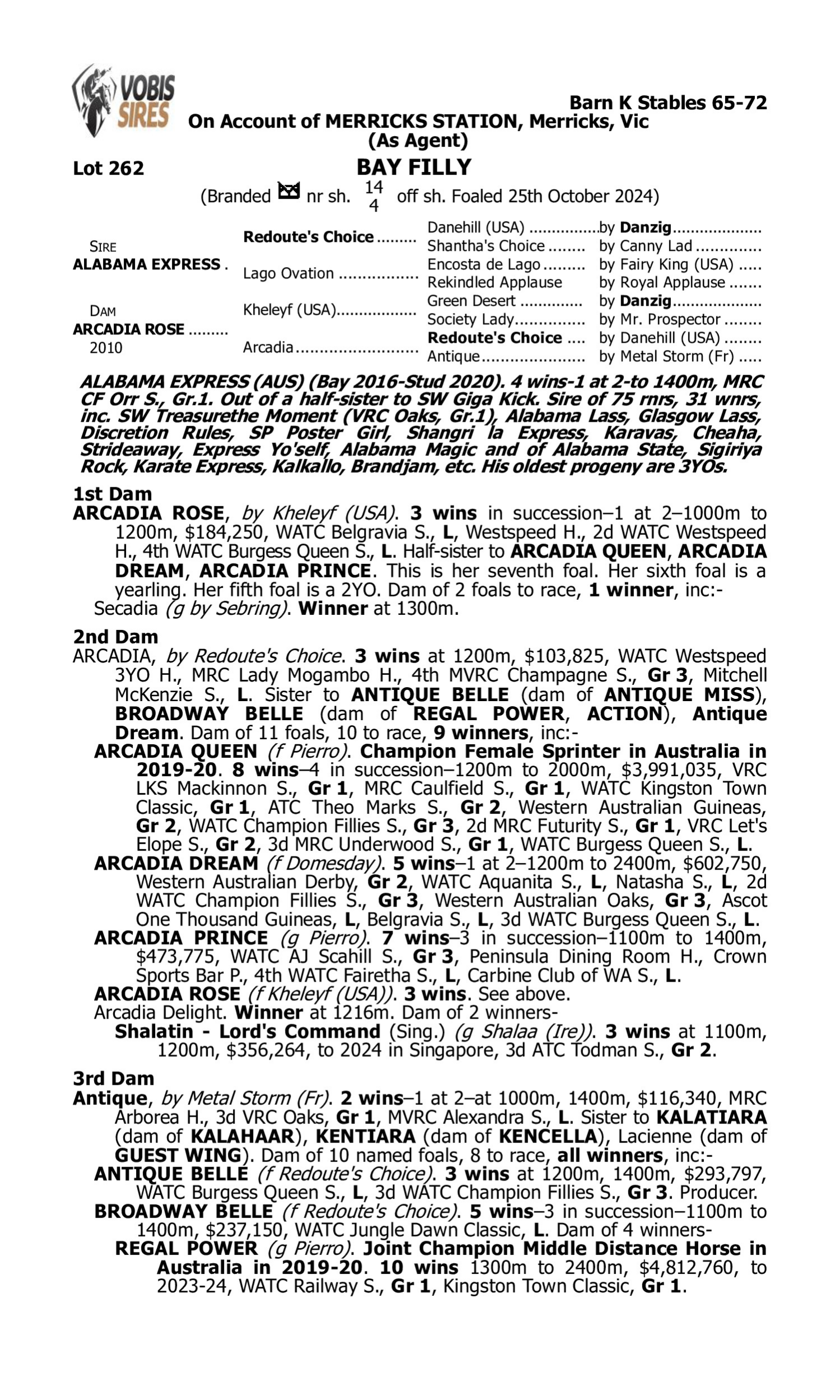 Pedigree for Lot 262 Alabama Express - Arcadia Rose