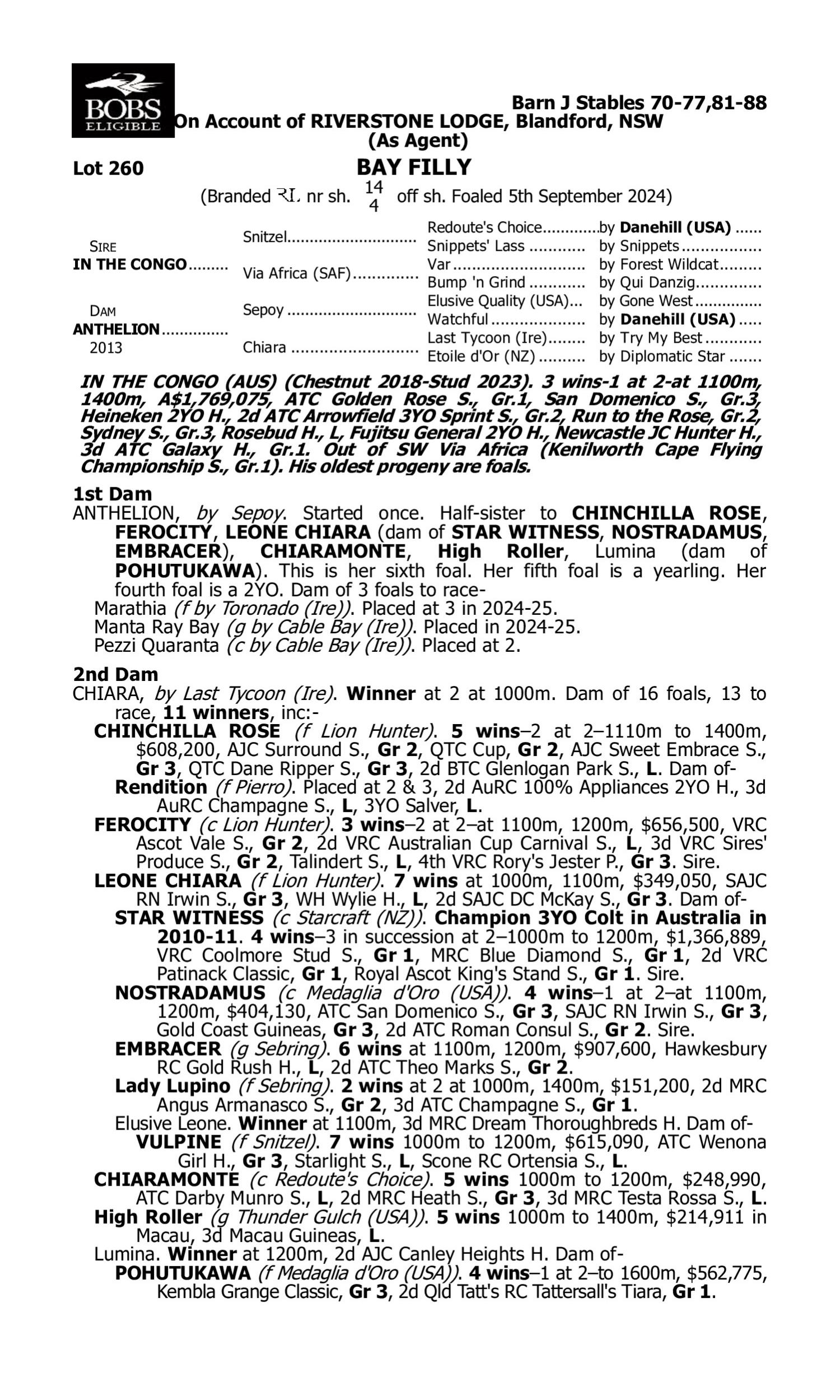 Pedigree for Lot 260 In the Congo - Anthelion
