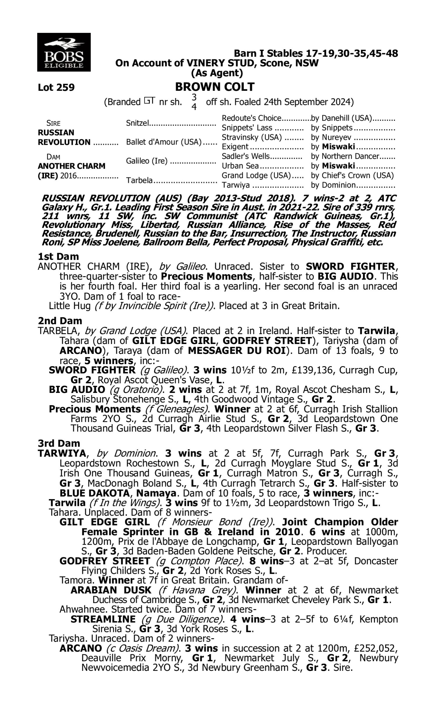 Pedigree for Lot 259 Russian Revolution - Another Charm (IRE)