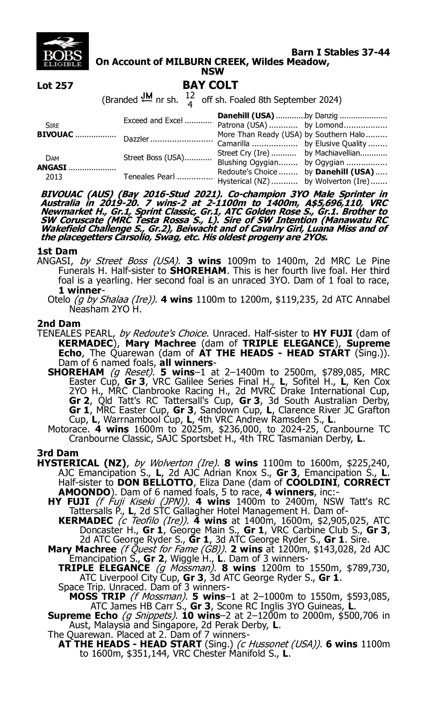 Pedigree for Lot 257 Bivouac - Angasi