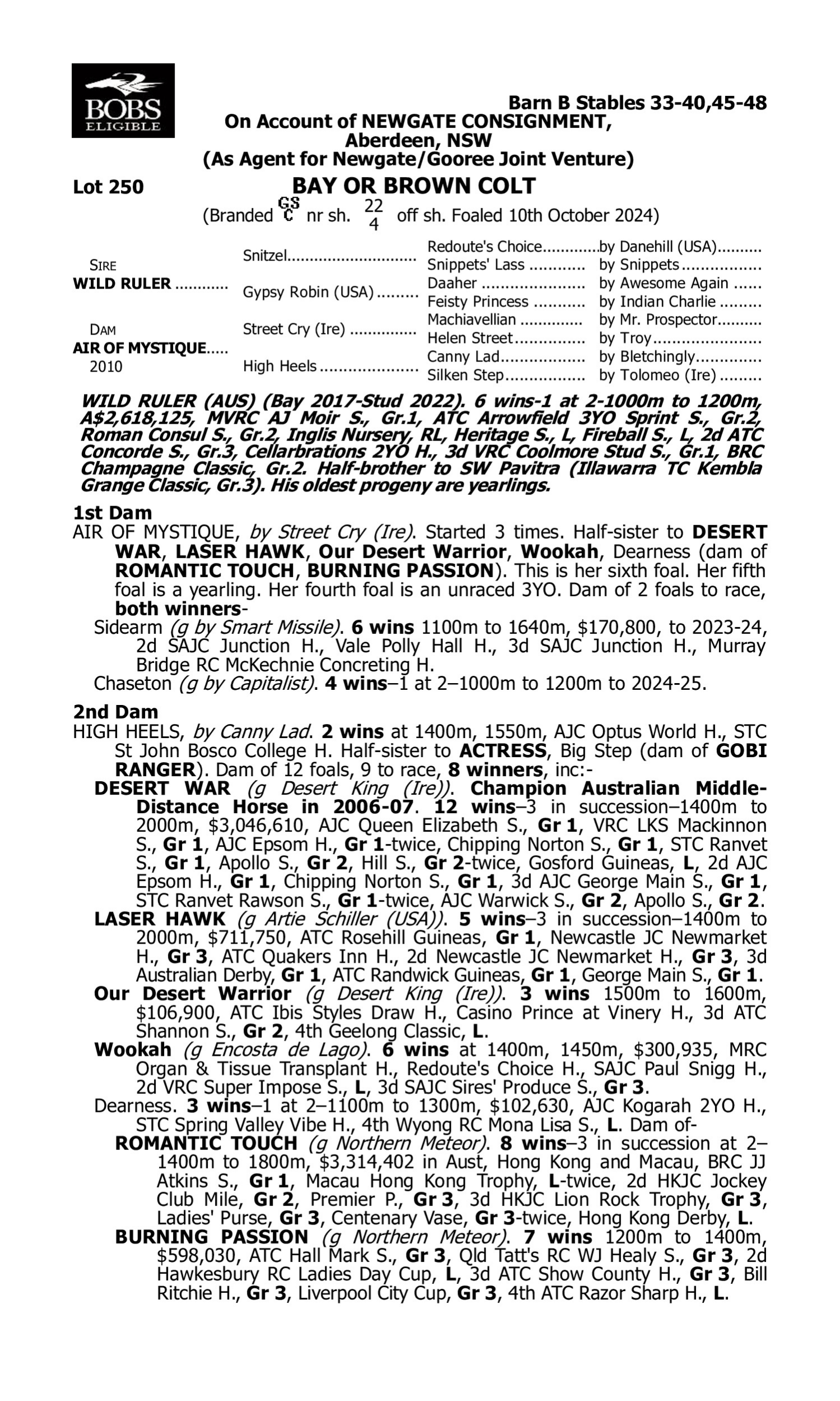 Pedigree for Lot 250 Wild Ruler - Air of Mystique