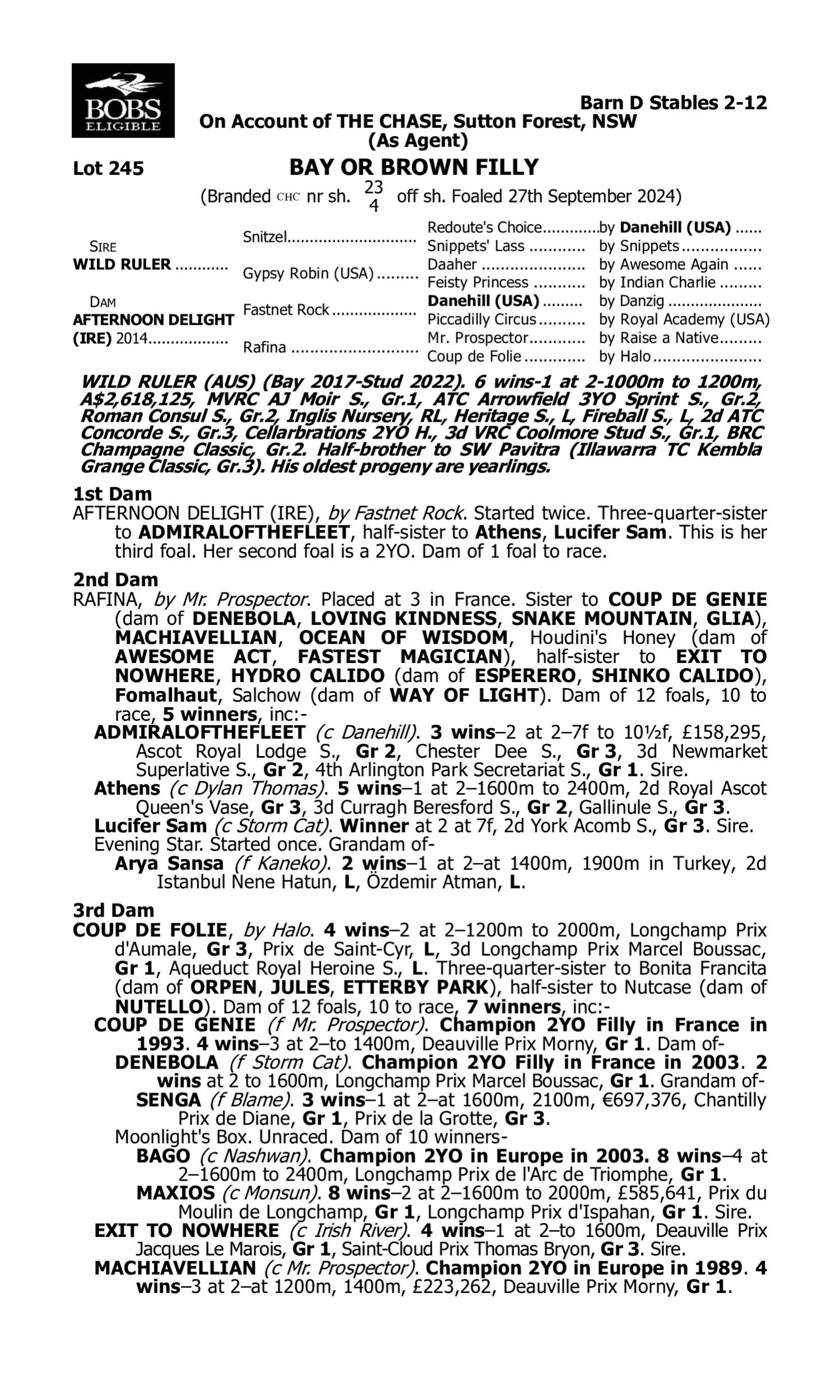 Pedigree for Lot 245 Wild Ruler - Afternoon Delight (IRE)