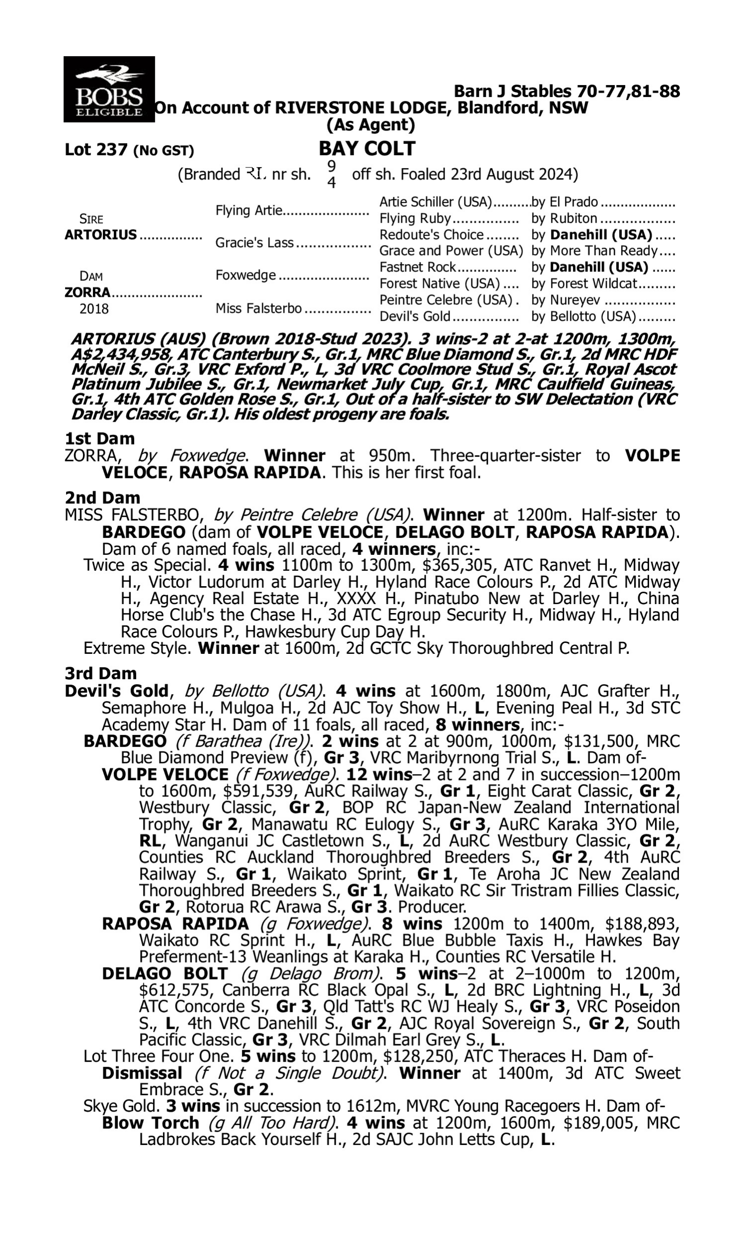 Pedigree for Lot 237 Artorius - Zorra