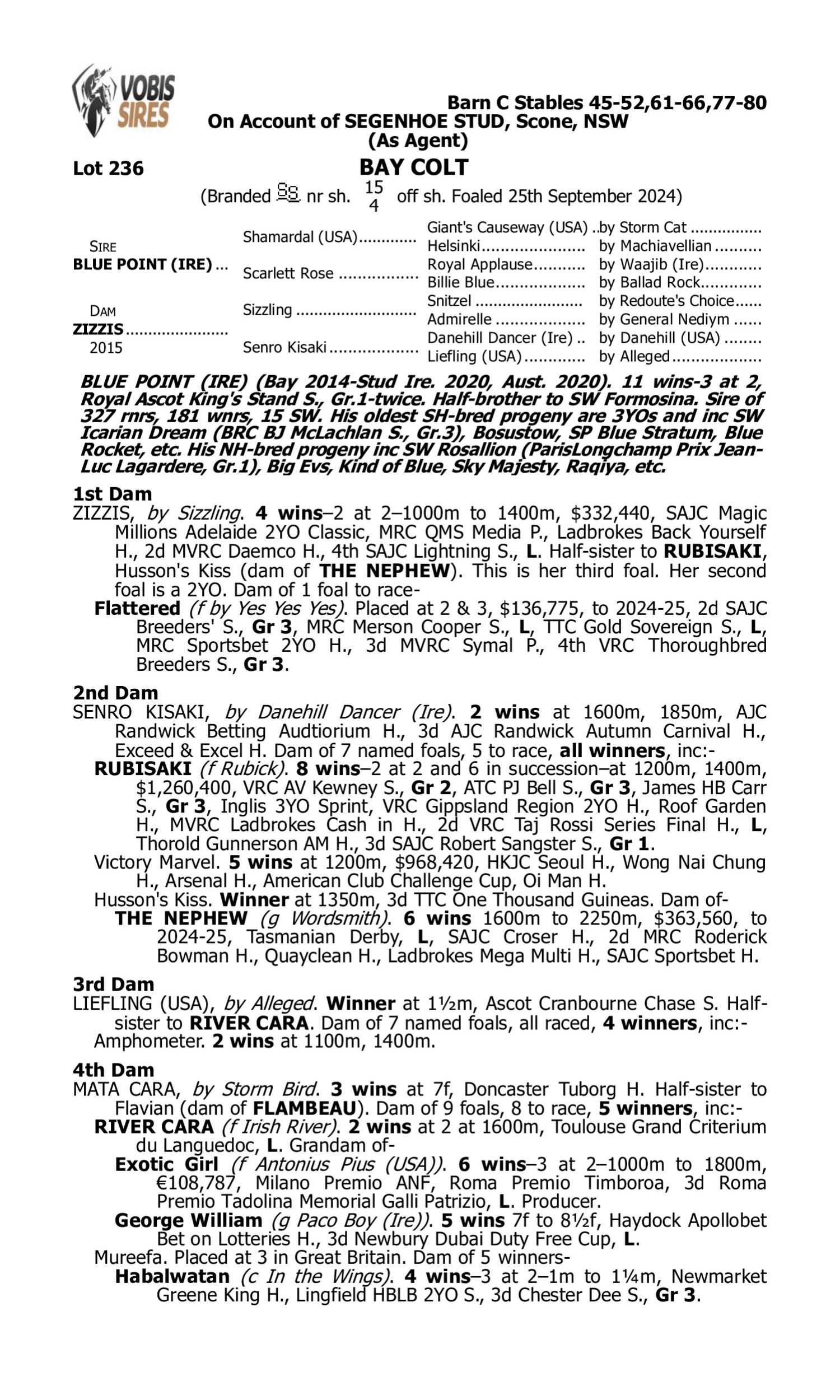 Pedigree for Lot 236 Blue Point (IRE) - Zizzis