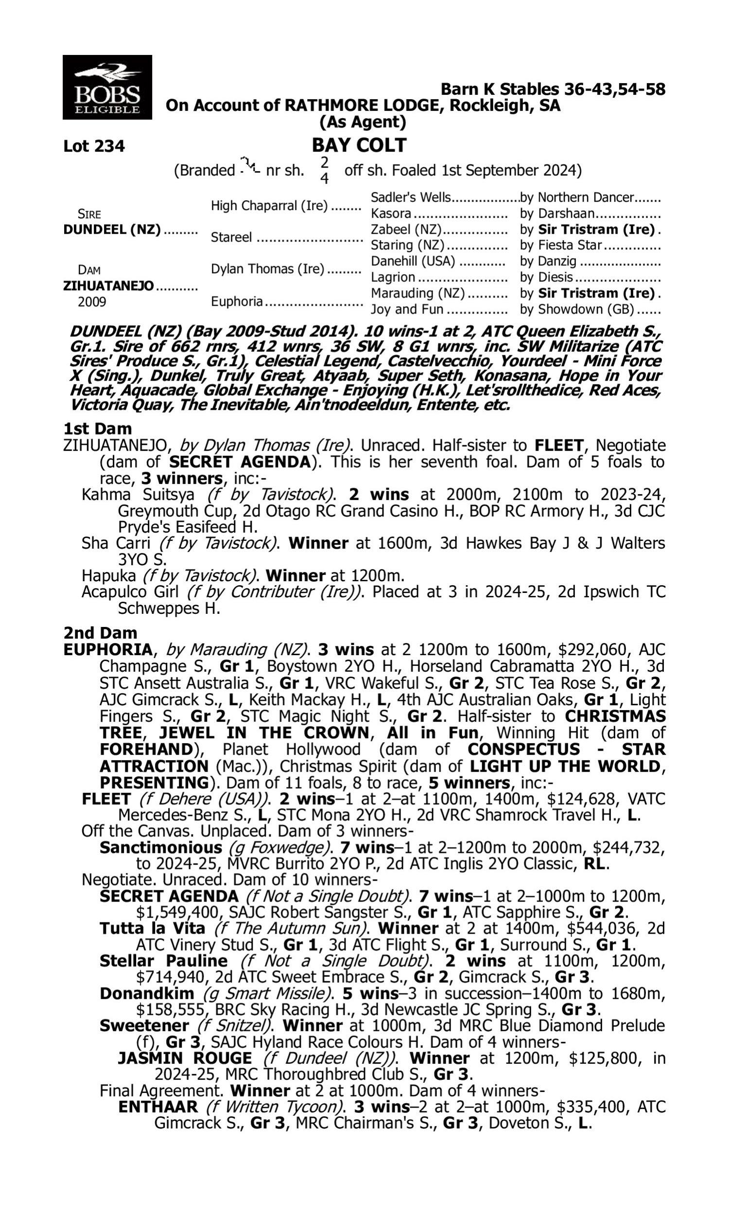Pedigree for Lot 234 Dundeel (NZ) - Zihuatanejo