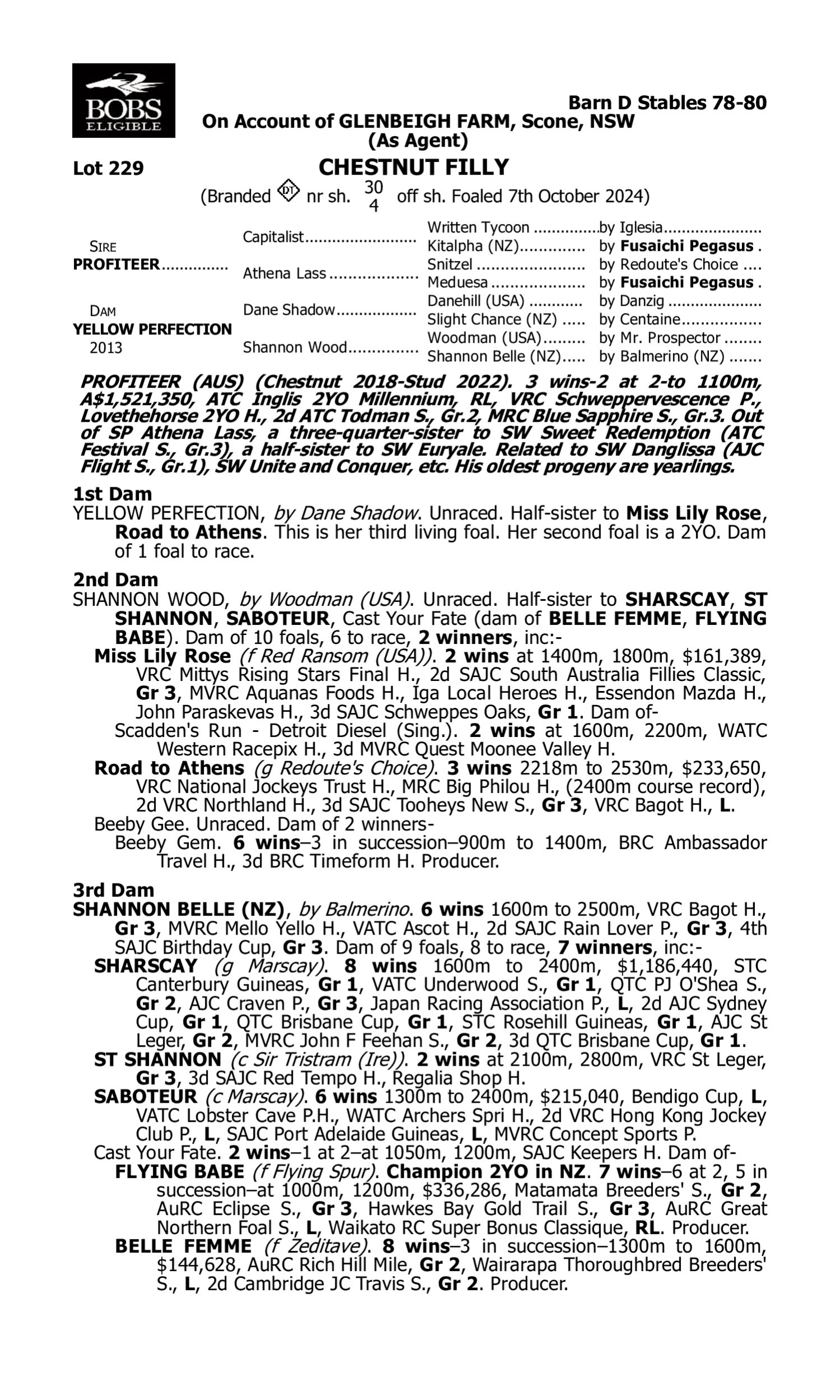 Pedigree for Lot 229 Profiteer - Yellow Perfection