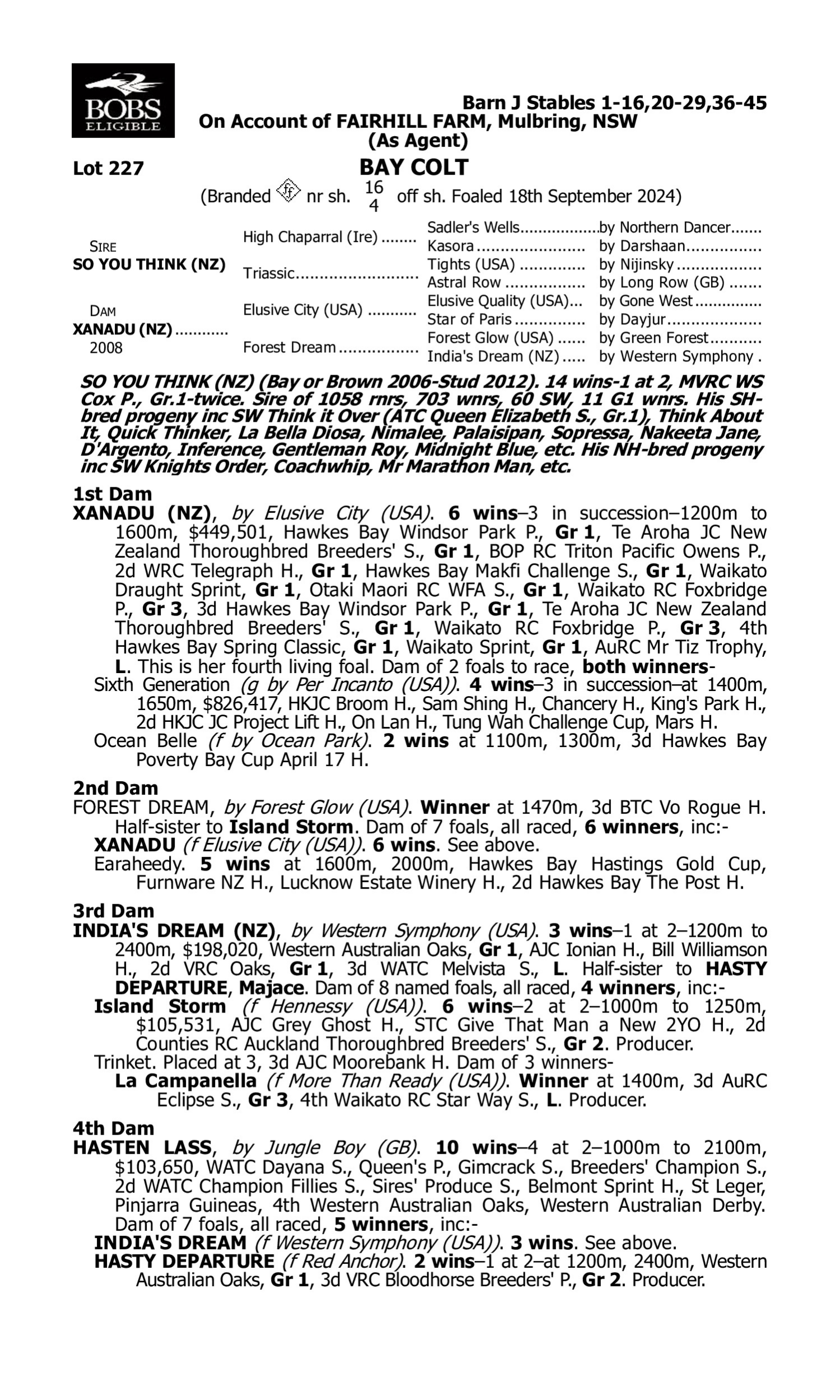 Pedigree for Lot 227 So You Think (NZ) - Xanadu (NZ)