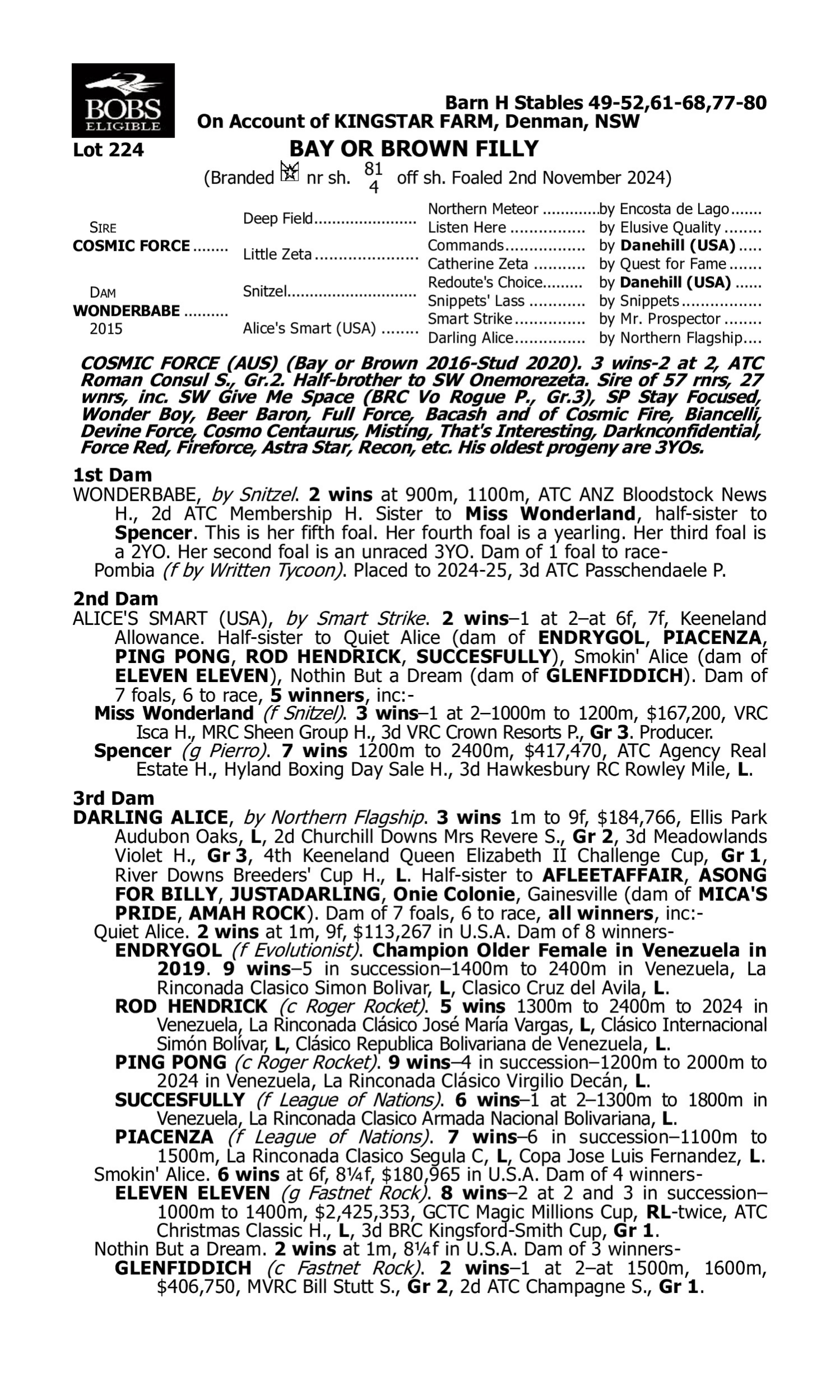 Pedigree for Lot 224 Cosmic Force - Wonderbabe