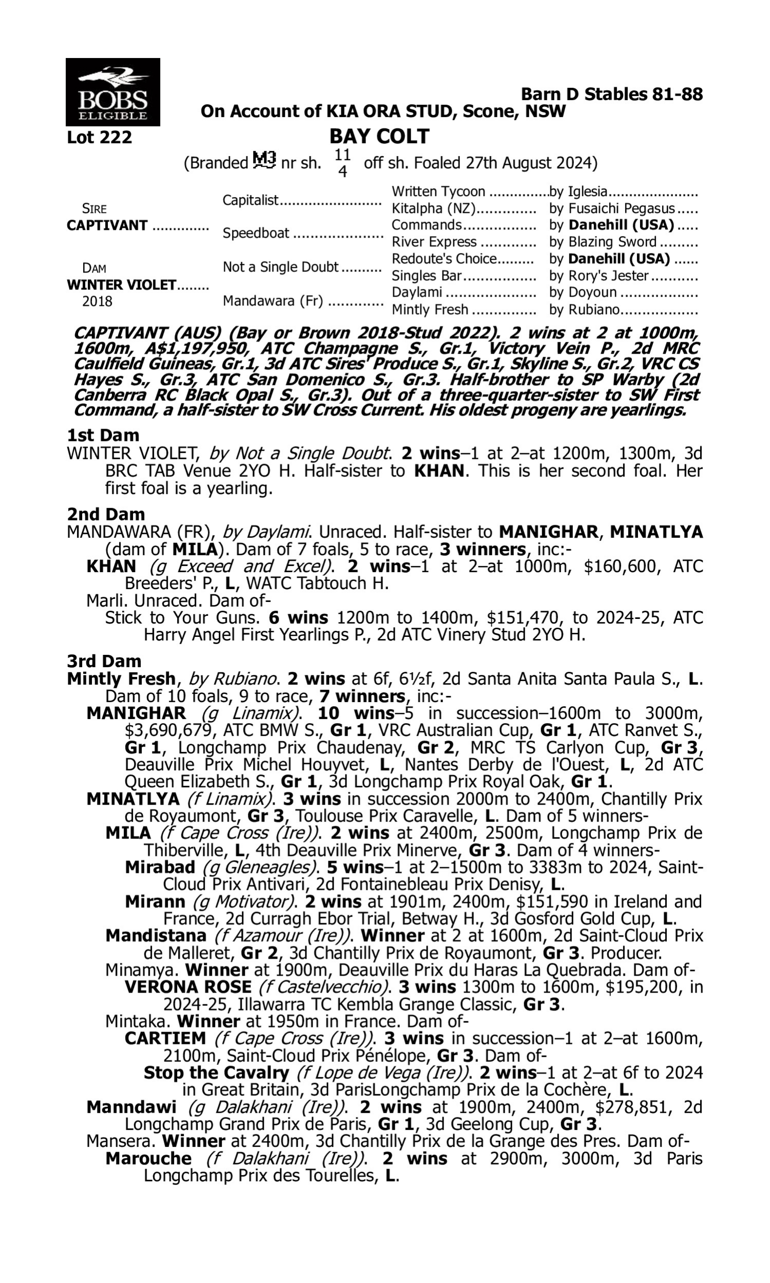 Pedigree for Lot 222 Captivant - Winter Violet