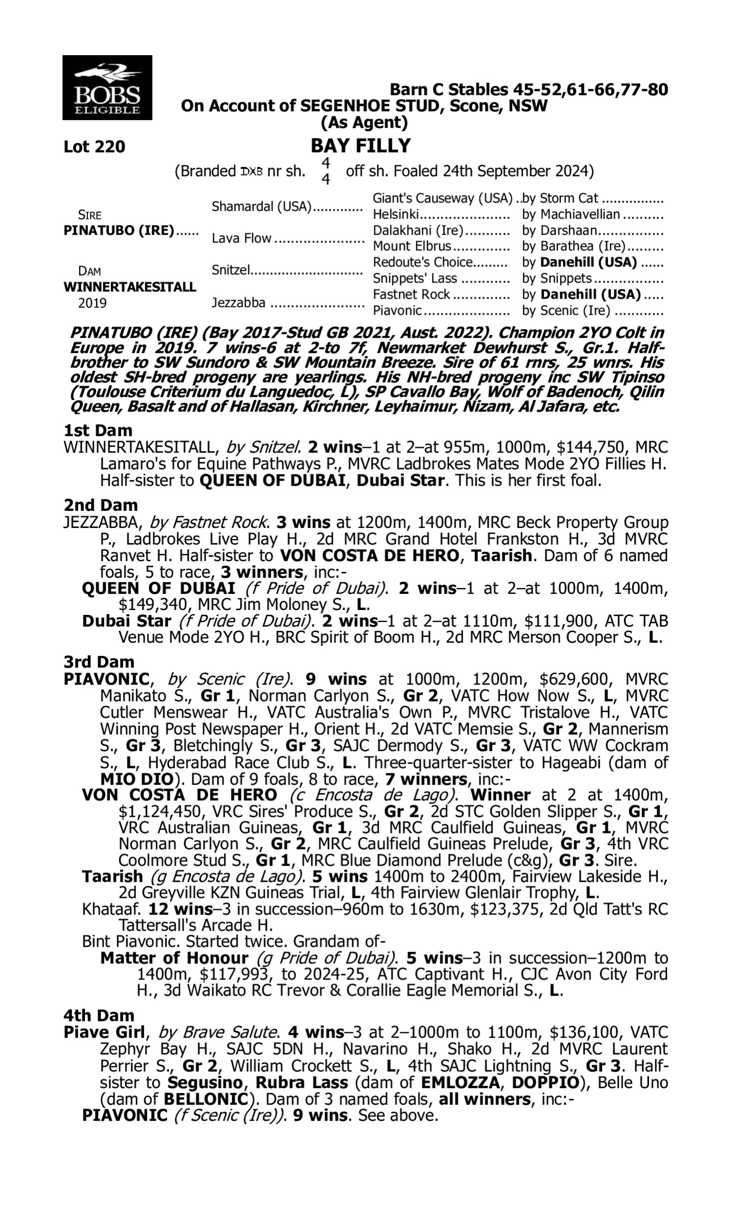 Pedigree for Lot 220 Pinatubo (IRE) - Winnertakesitall