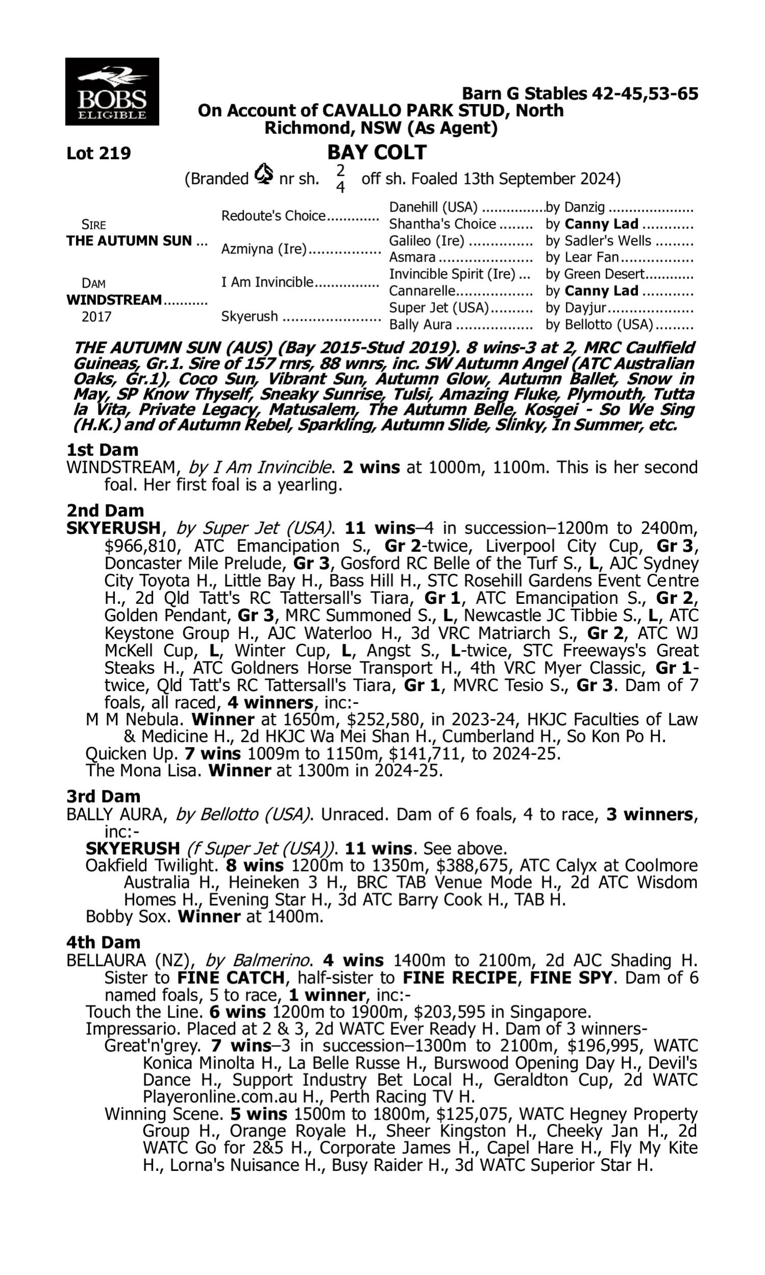 Pedigree for Lot 219 The Autumn Sun - Windstream