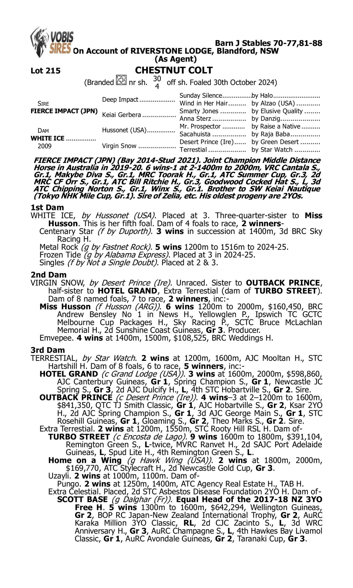 Pedigree for Lot 215 Fierce Impact (JPN) - White Ice