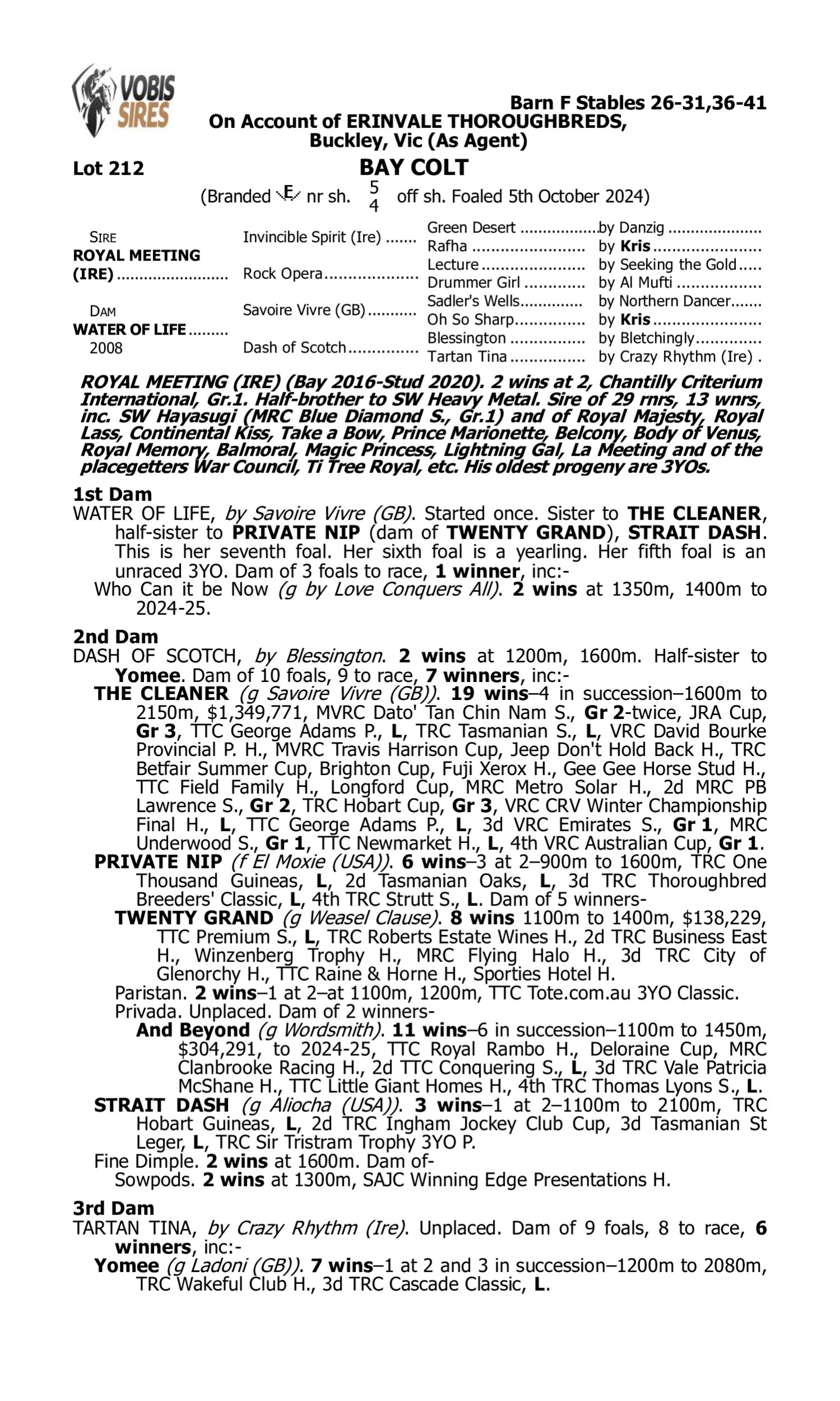 Pedigree for Lot 212 Royal Meeting (IRE) - Water of Life