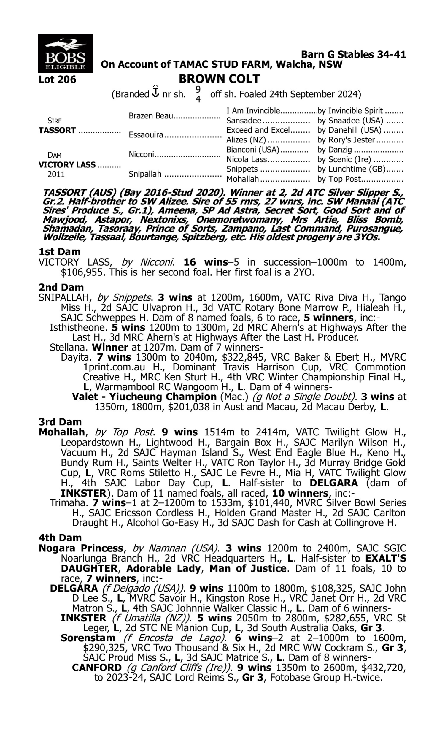 Pedigree for Lot 206 Tassort - Victory Lass