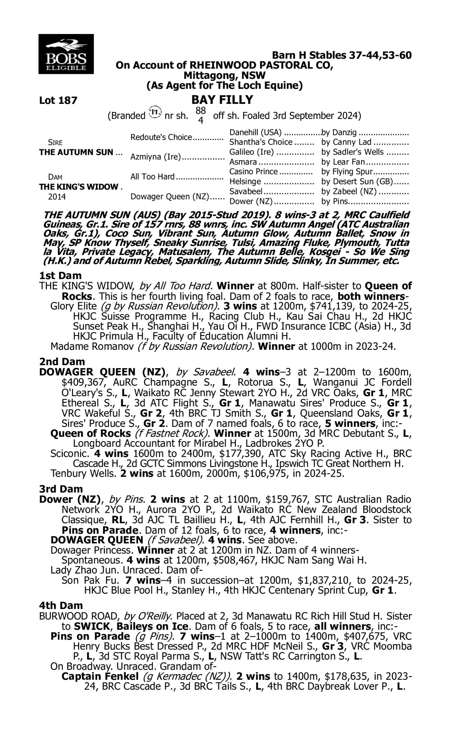 Pedigree for Lot 187 The Autumn Sun - The King's Widow