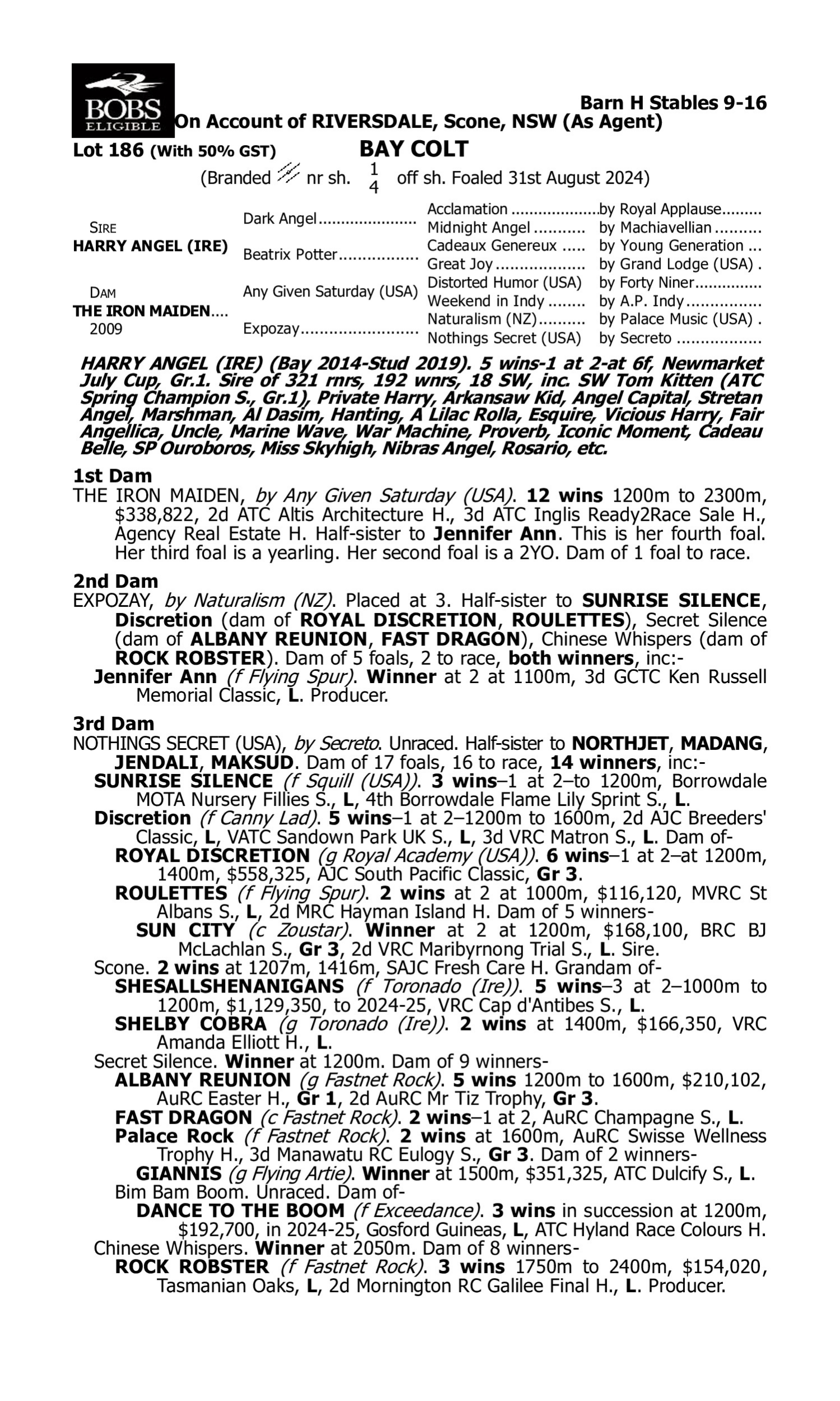 Pedigree for Lot 186 Harry Angel (IRE) - The Iron Maiden