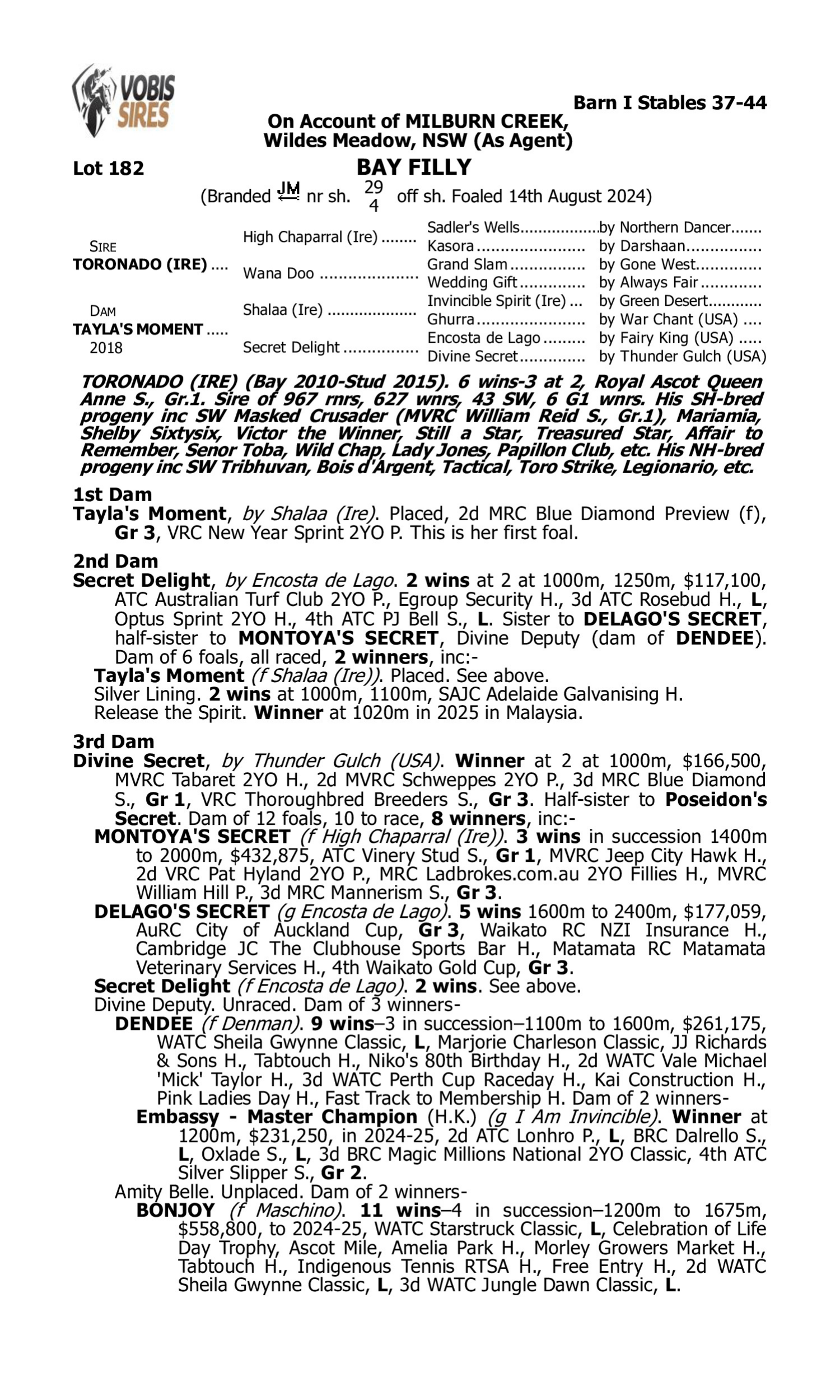 Pedigree for Lot 182 Toronado (IRE) - Tayla's Moment