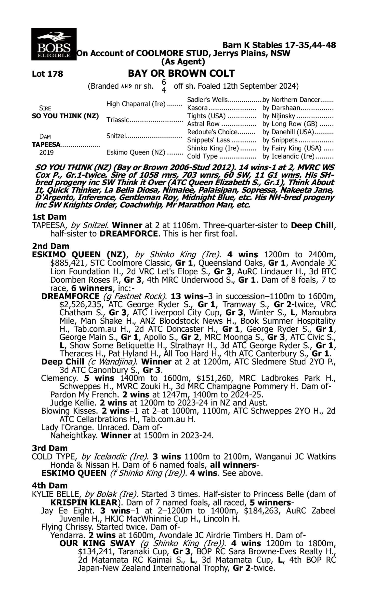 Pedigree for Lot 178 So You Think (NZ) - Tapeesa