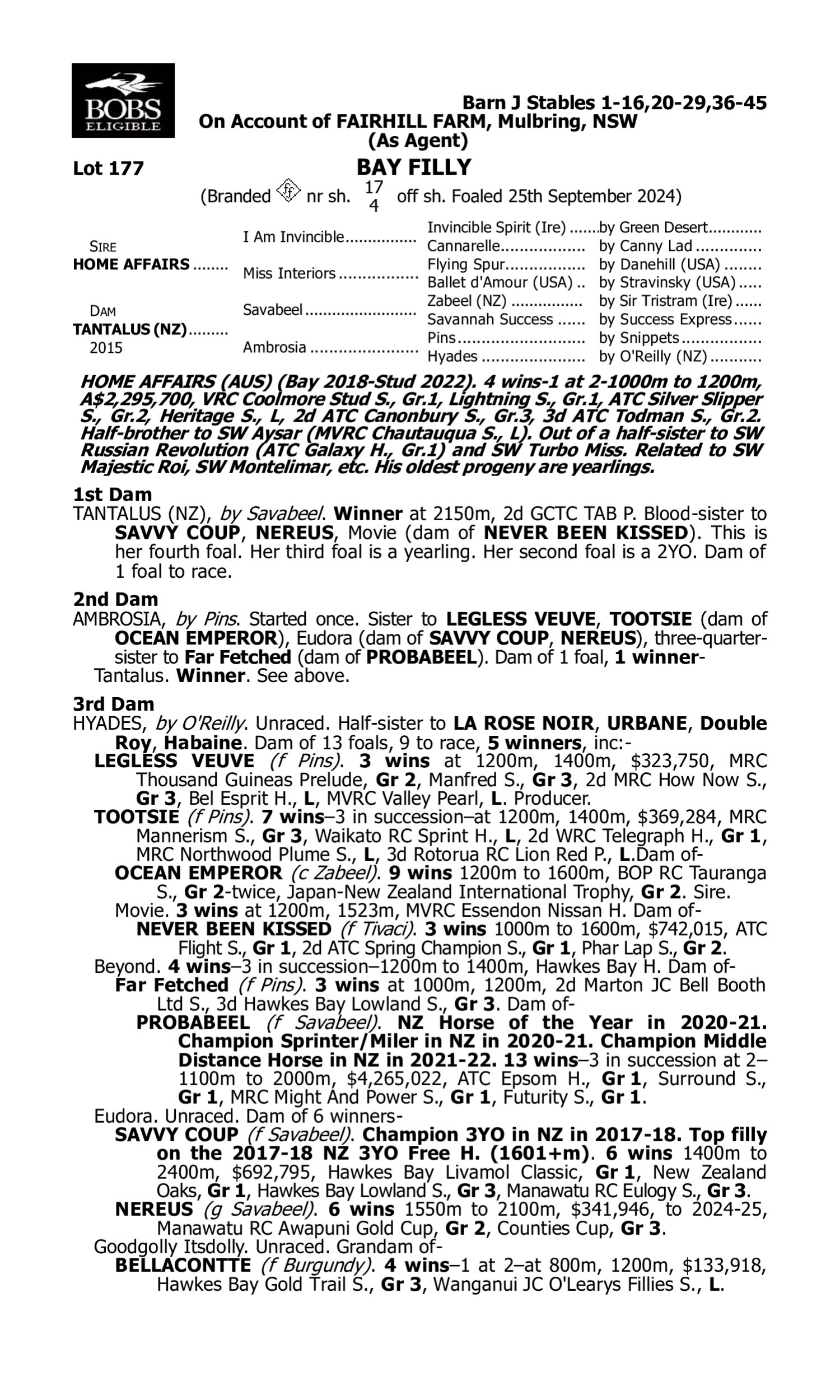 Pedigree for Lot 177 Home Affairs - Tantalus (NZ)