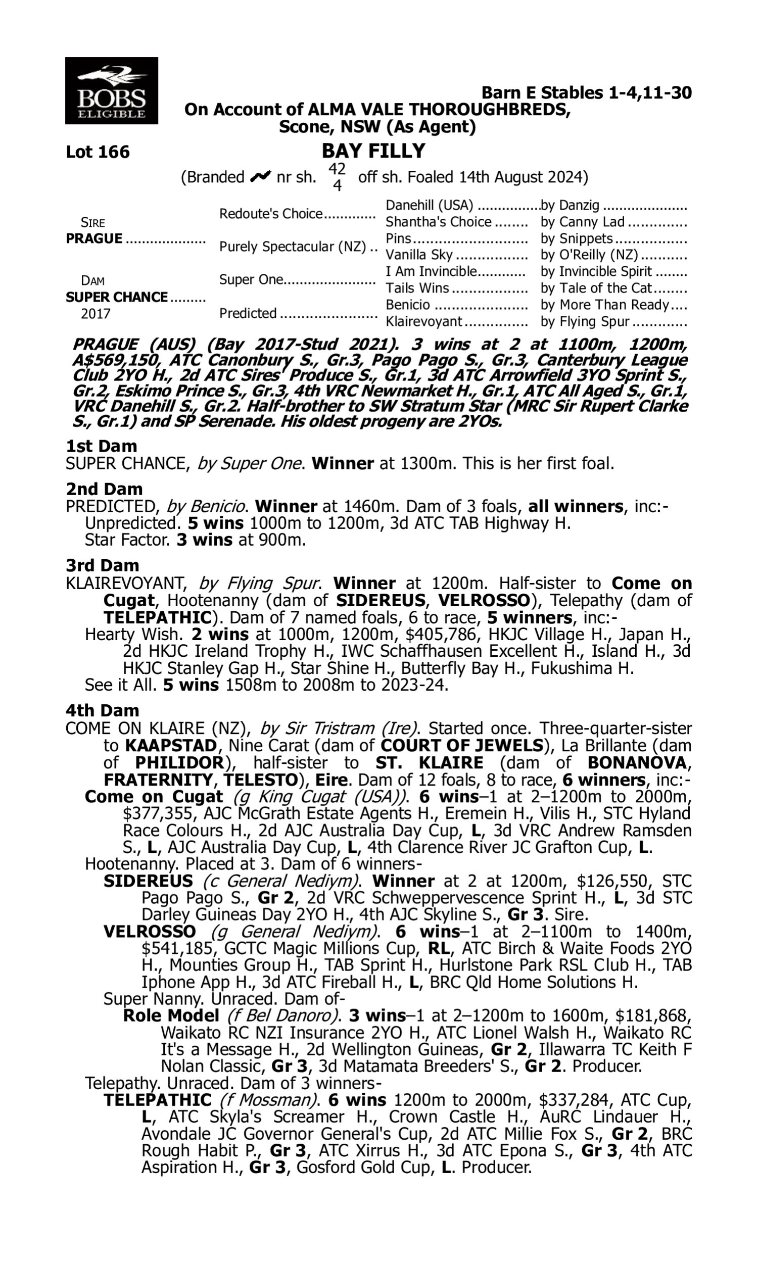 Pedigree for Lot 166 Prague - Super Chance