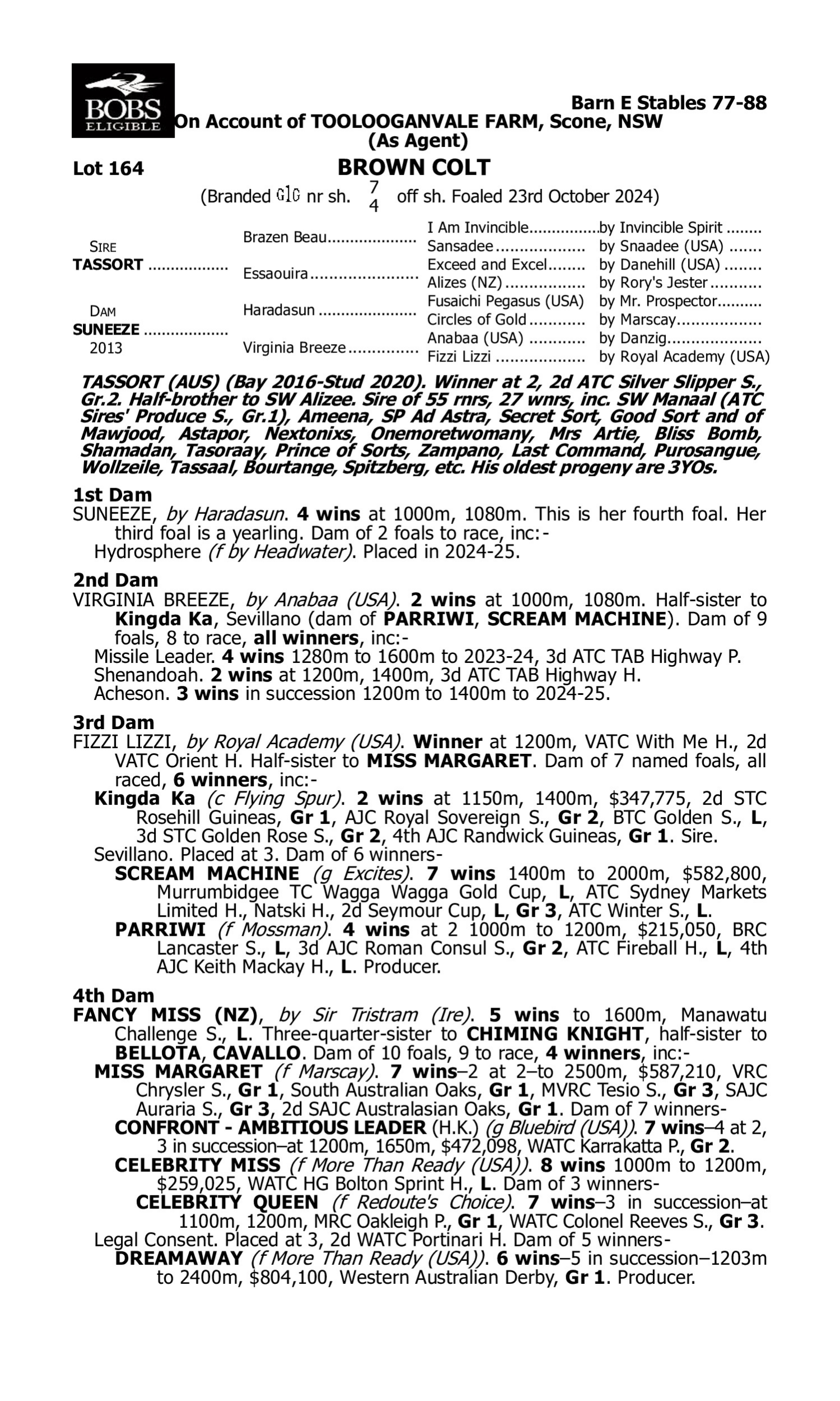 Pedigree for Lot 164 Tassort - Suneeze