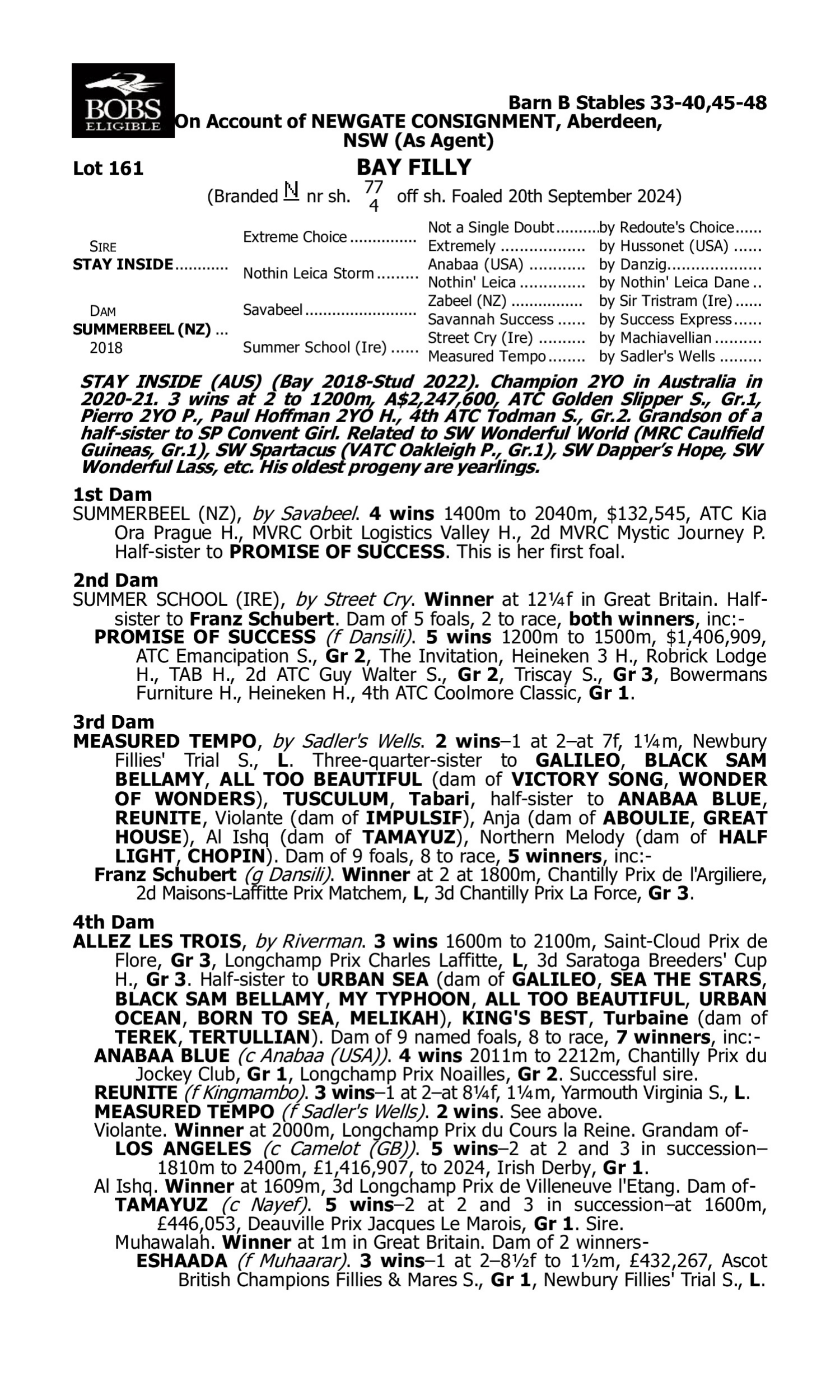 Pedigree for Lot 161 Stay Inside - Summerbeel (NZ)