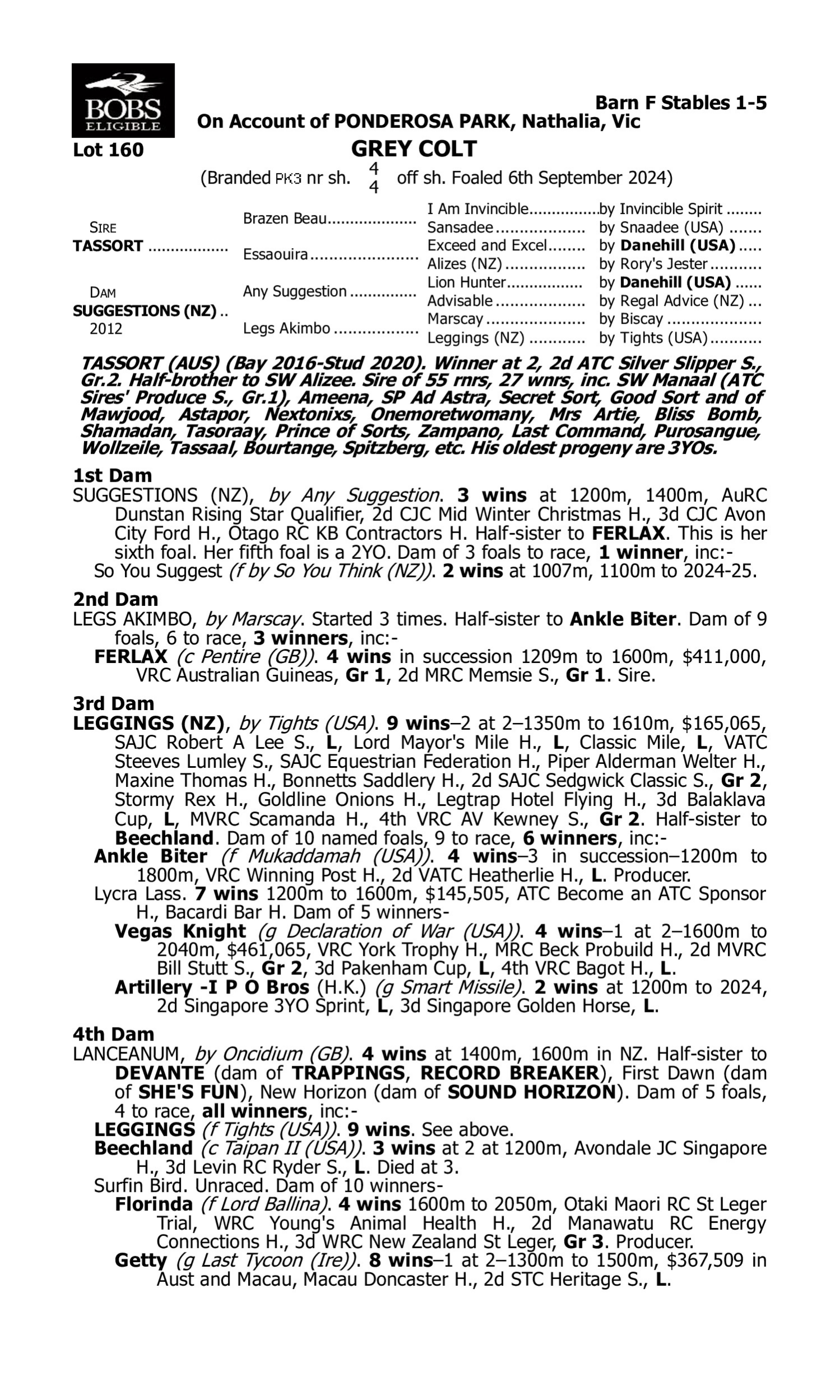 Pedigree for Lot 160 Tassort - Suggestions (NZ)