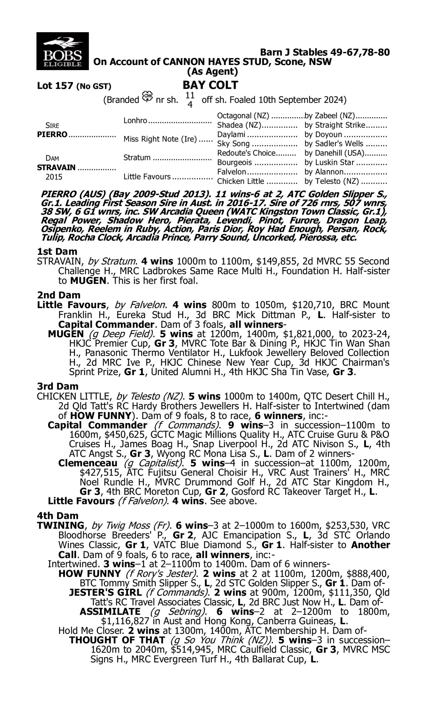 Pedigree for Lot 157 Pierro - Stravain