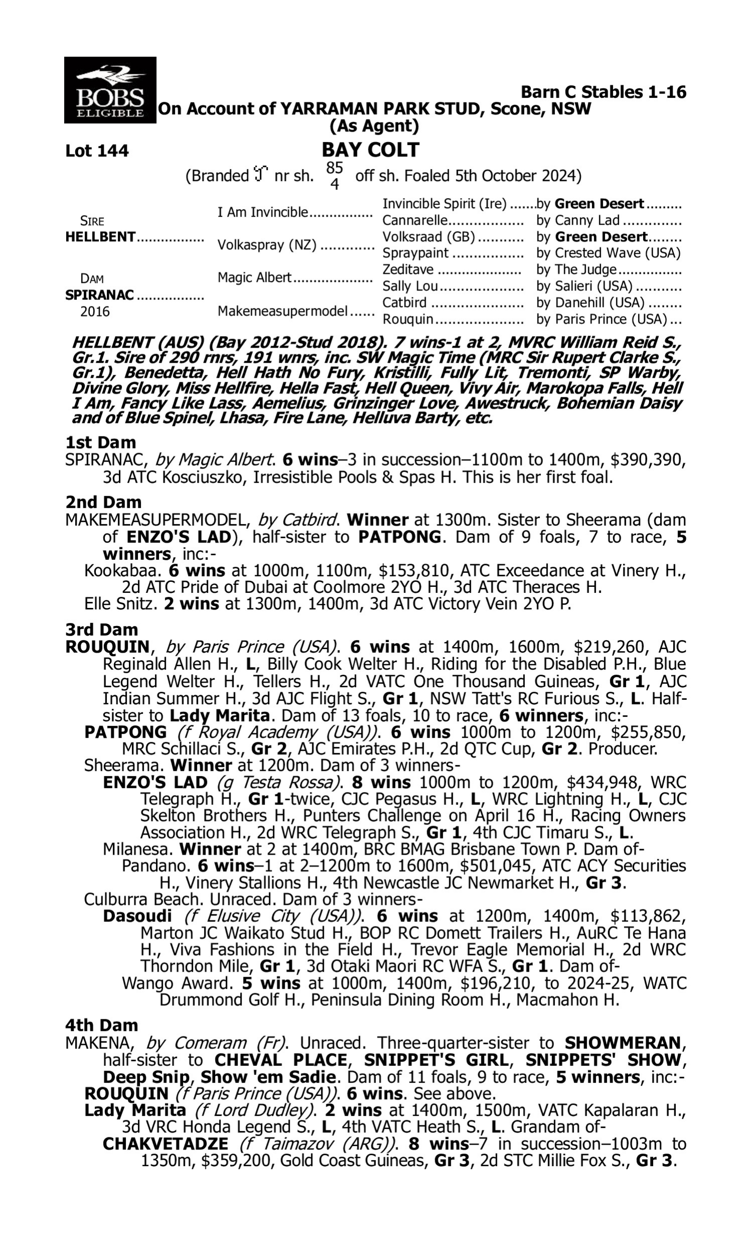 Pedigree for Lot 144 Hellbent - Spiranac
