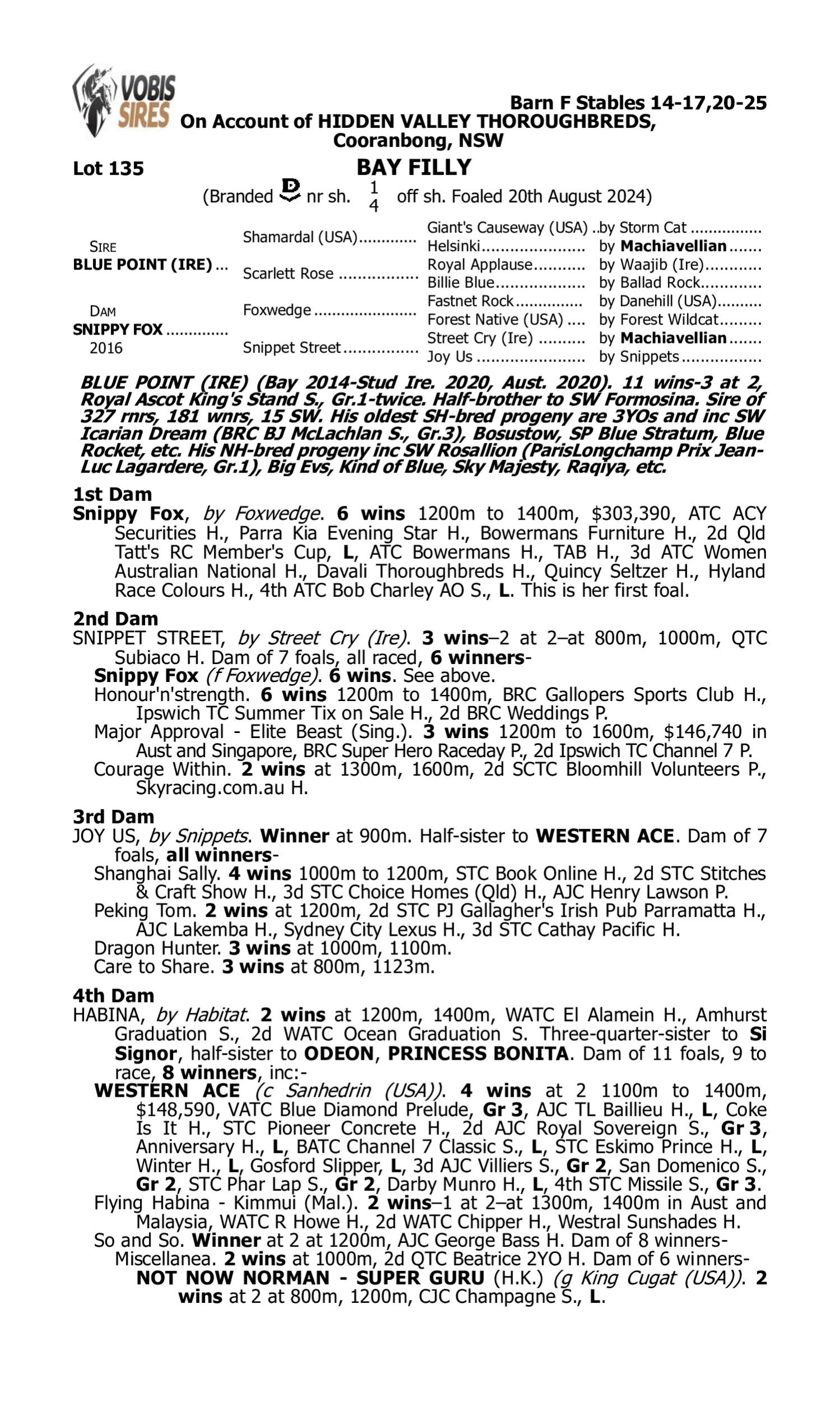 Pedigree for Lot 135 Blue Point (IRE) - Snippy Fox