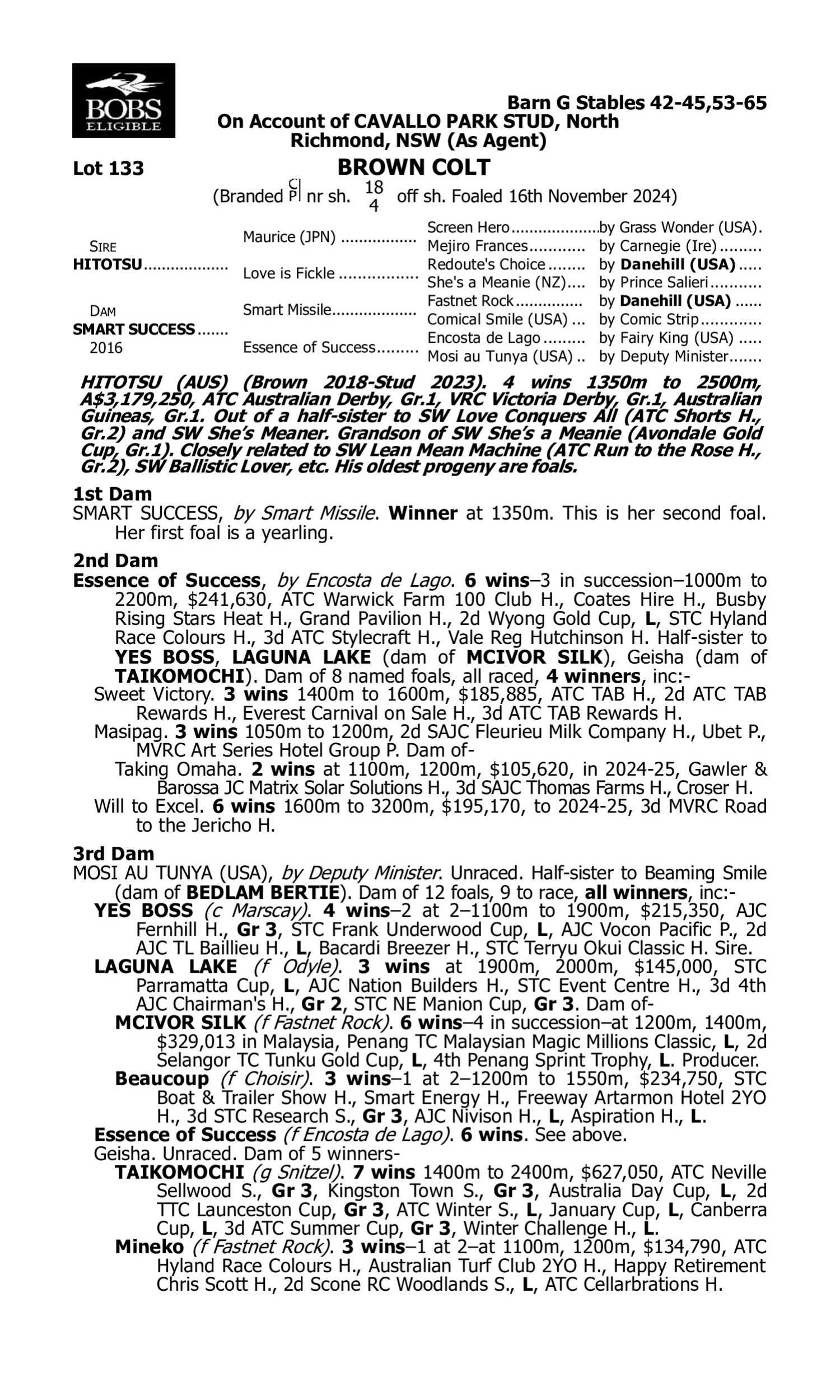 Pedigree for Lot 133 Hitotsu - Smart Success