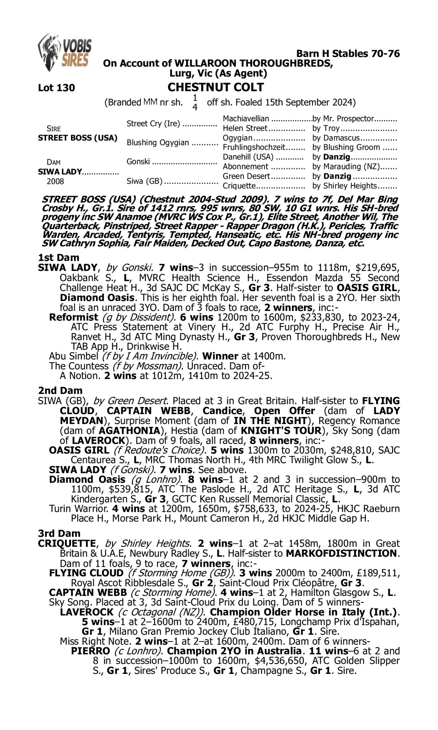 Pedigree for Lot 130 Street Boss (USA) - Siwa Lady