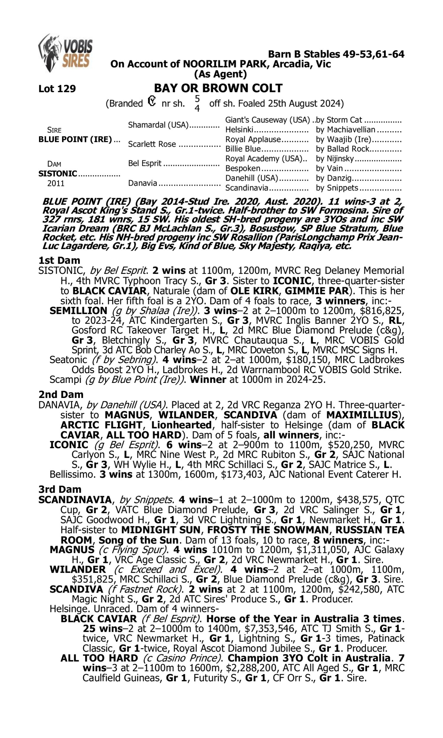 Pedigree for Lot 129 Blue Point (IRE) - Sistonic
