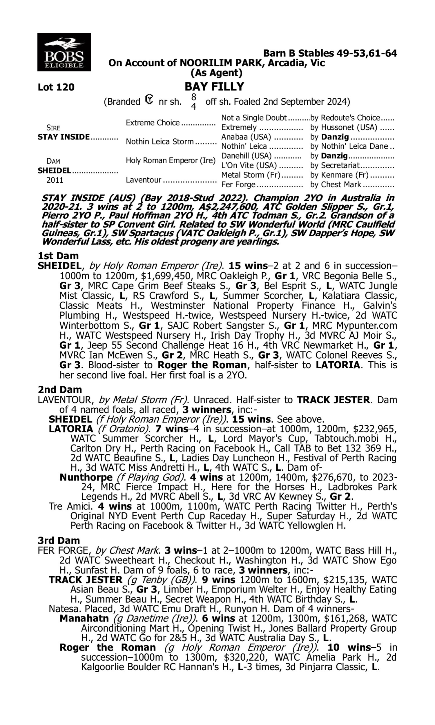 Pedigree for Lot 120 Stay Inside - Sheidel