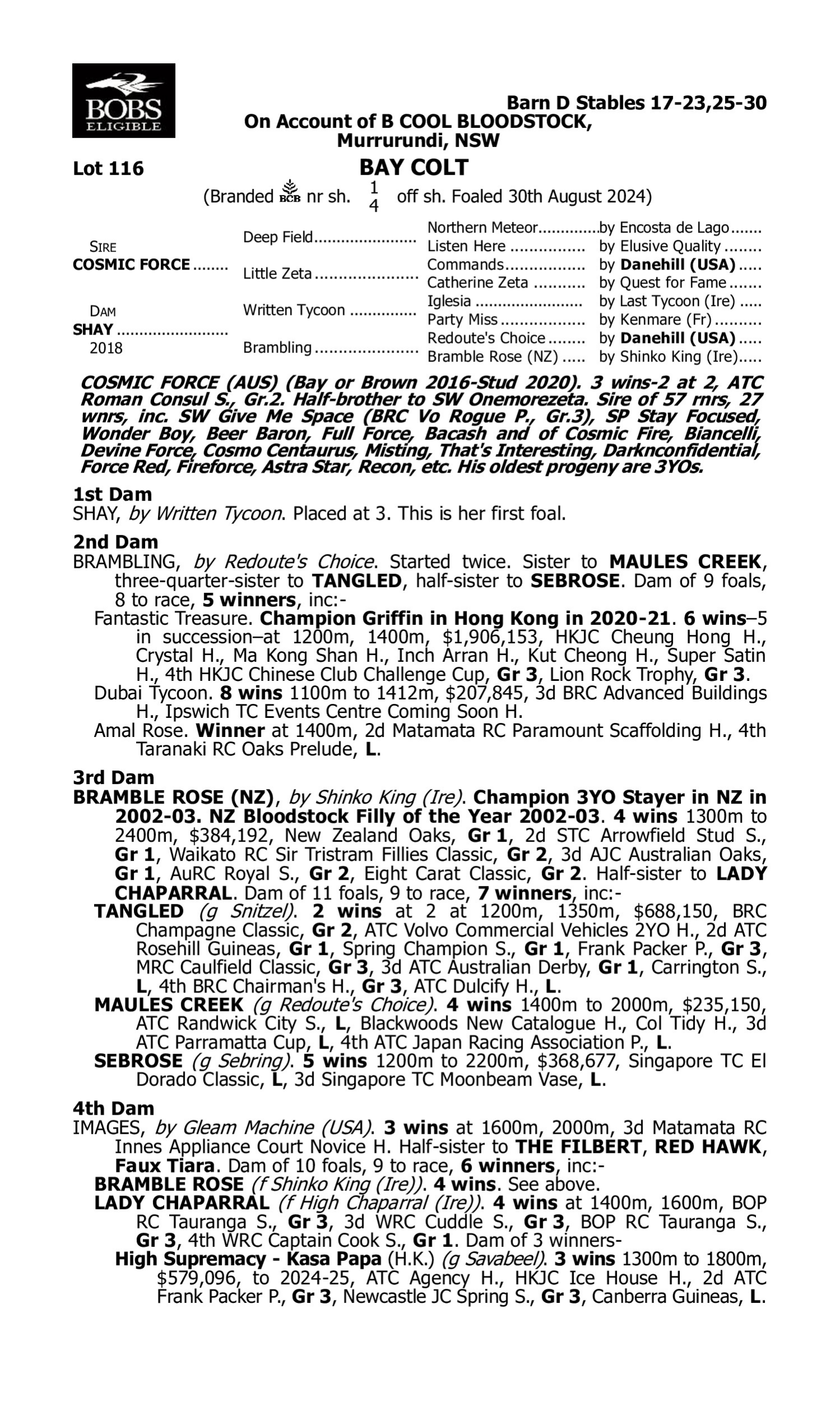 Pedigree for Lot 116 Cosmic Force - Shay