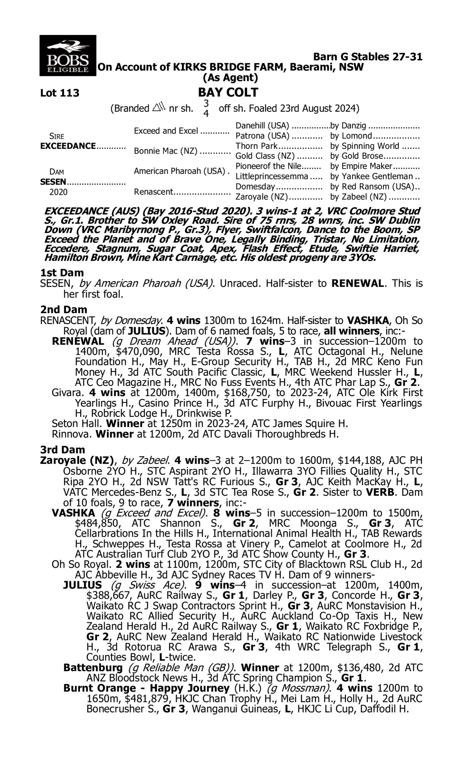 Pedigree for Lot 113 Exceedance - Sesen