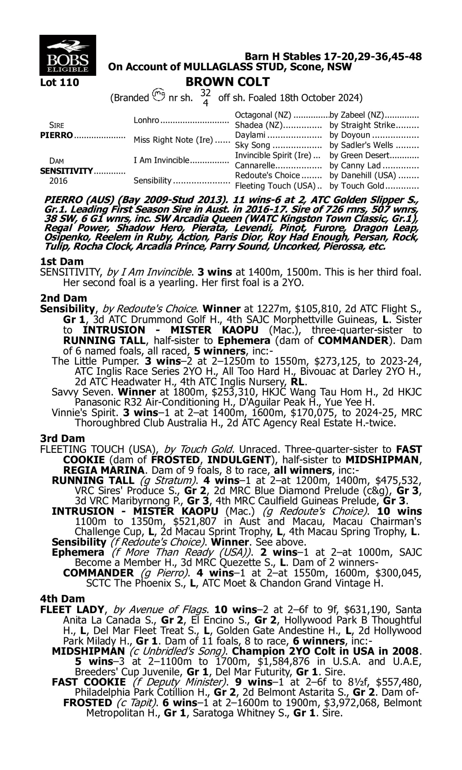 Pedigree for Lot 110 Pierro - Sensitivity