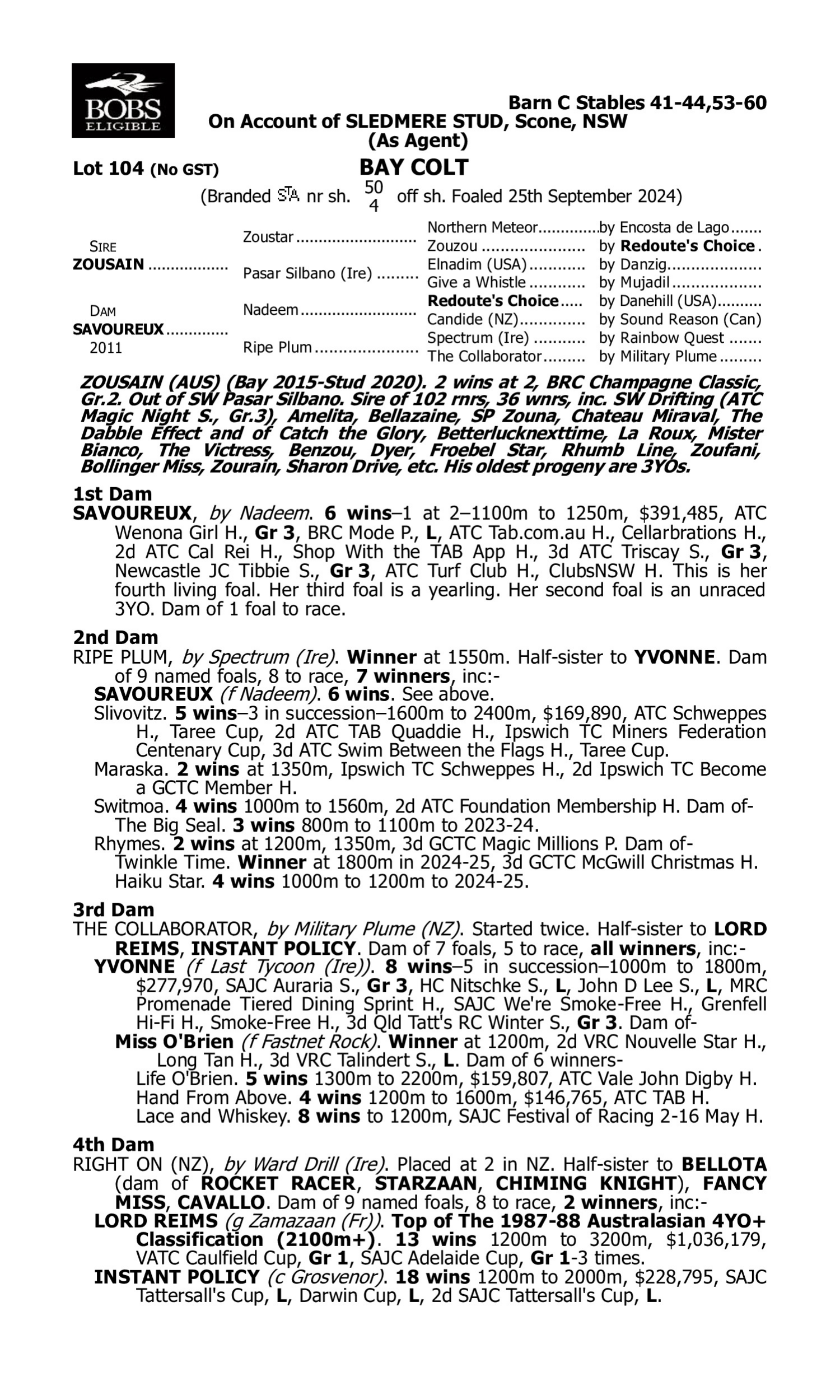 Pedigree for Lot 104 Zousain - Savoureux