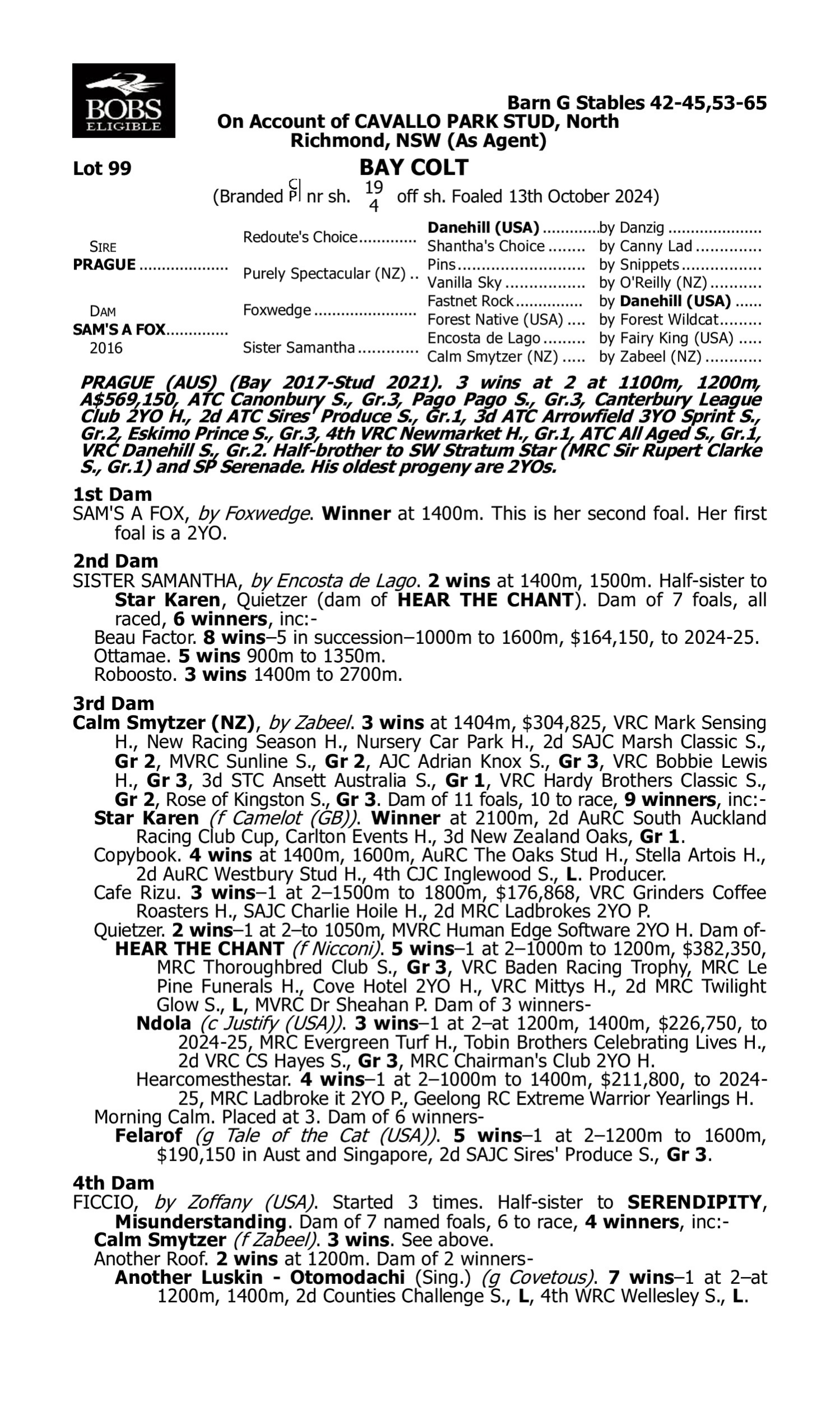 Pedigree for Lot 99 Prague - Sam's a Fox