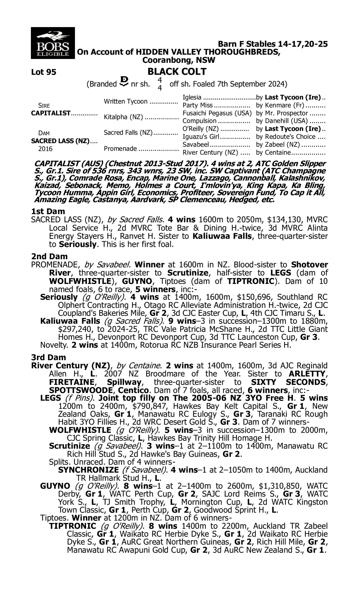 Pedigree for Lot 95 Capitalist - Sacred Lass (NZ)