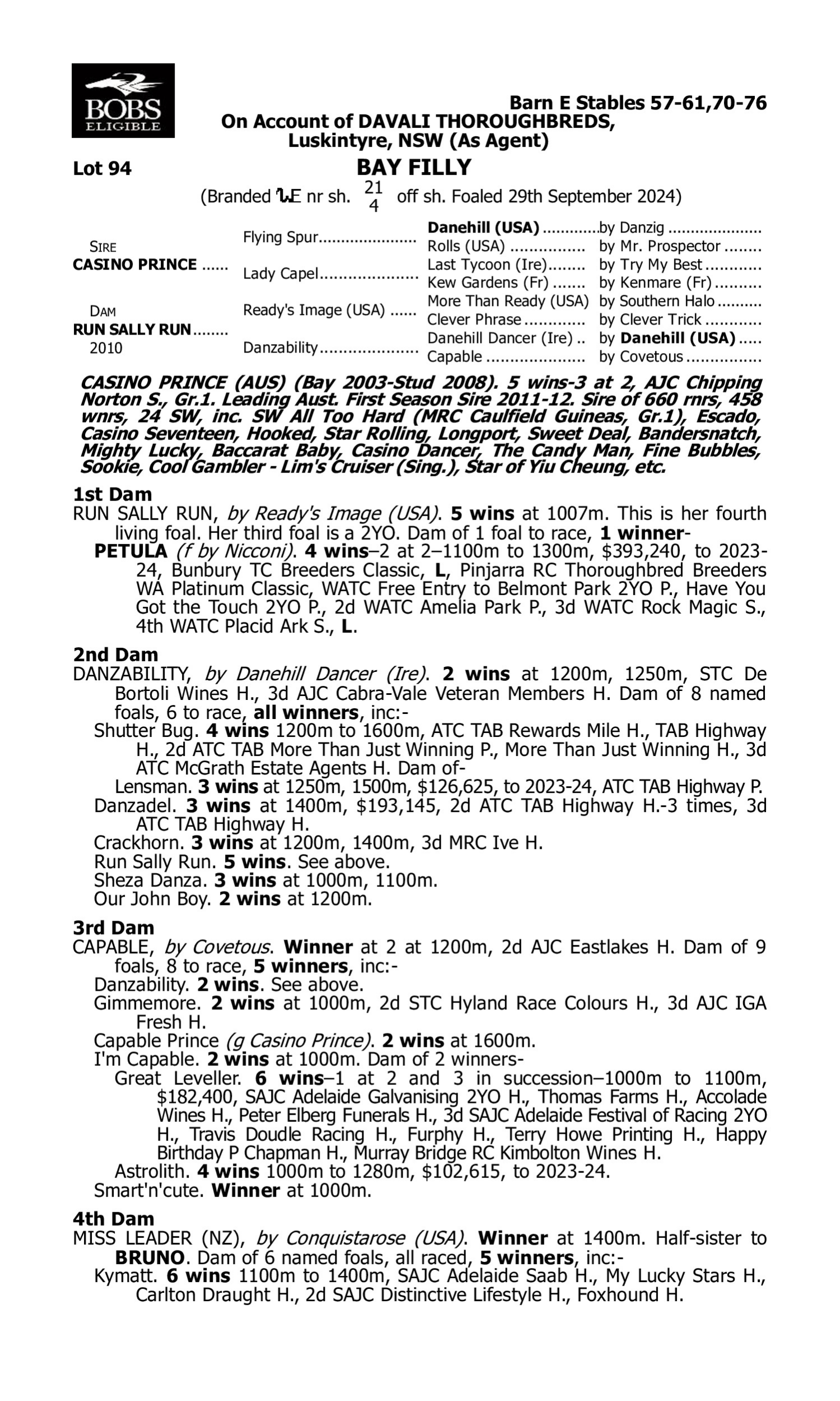 Pedigree for Lot 94 Casino Prince - Run Sally Run