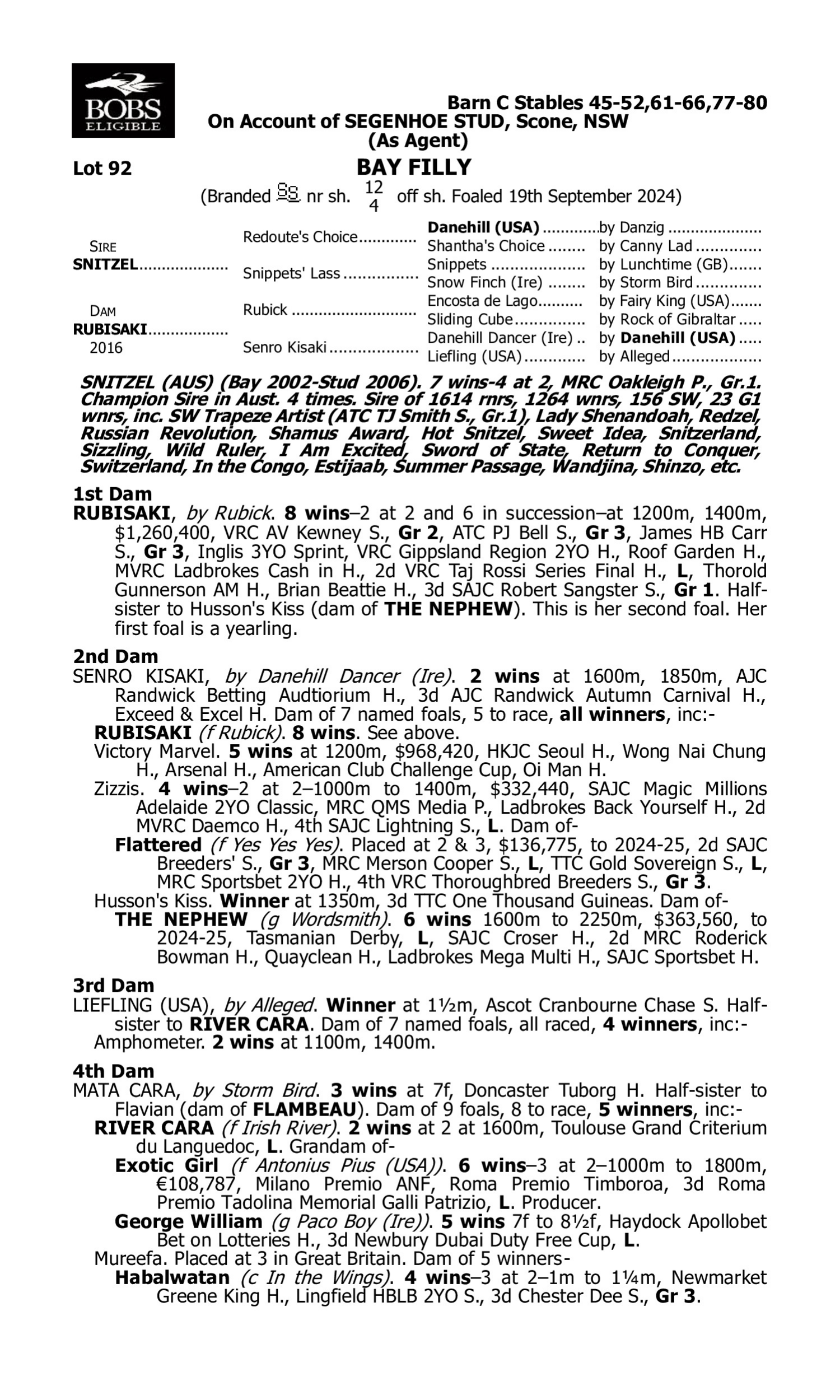 Pedigree for Lot 92 Snitzel - Rubisaki