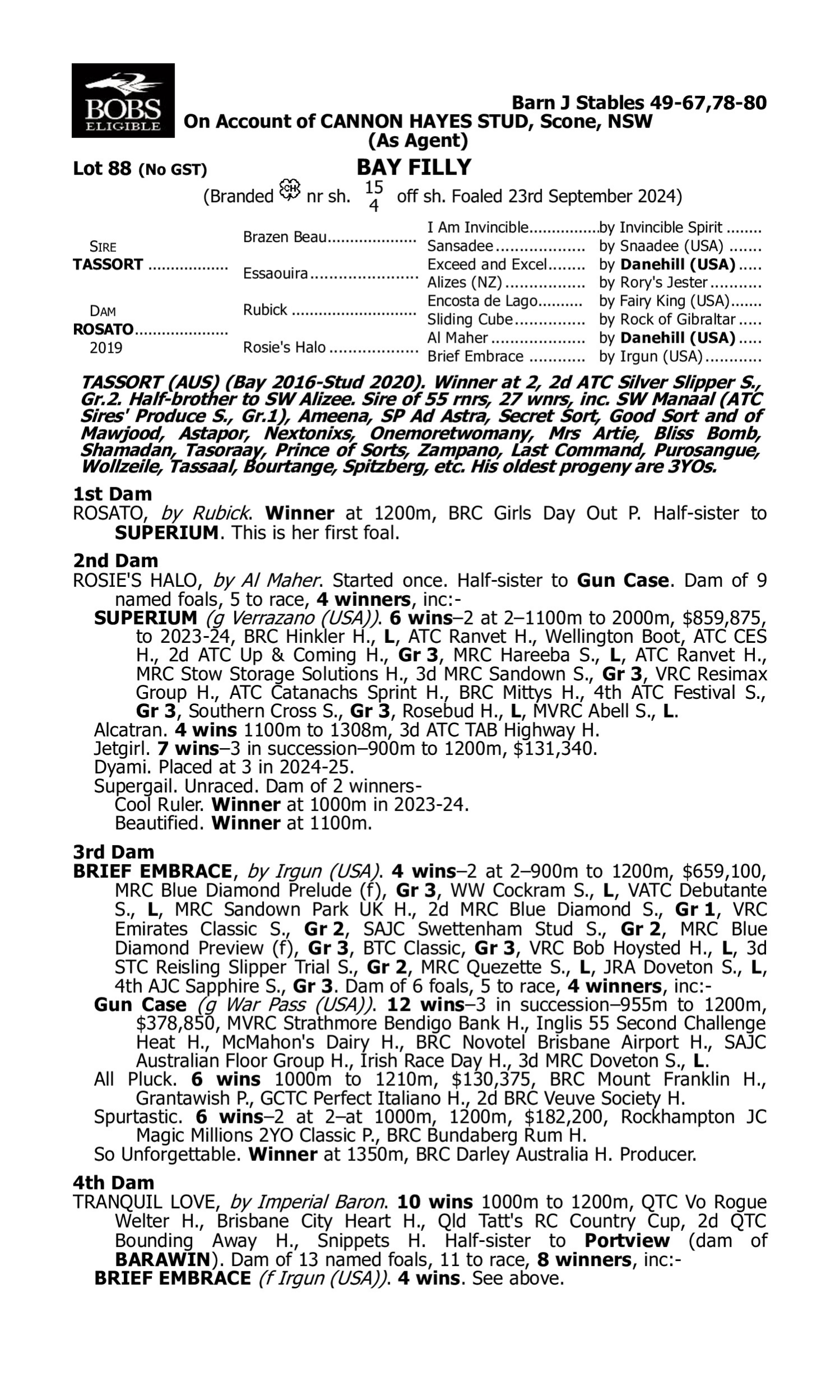 Pedigree for Lot 88 Tassort - Rosato