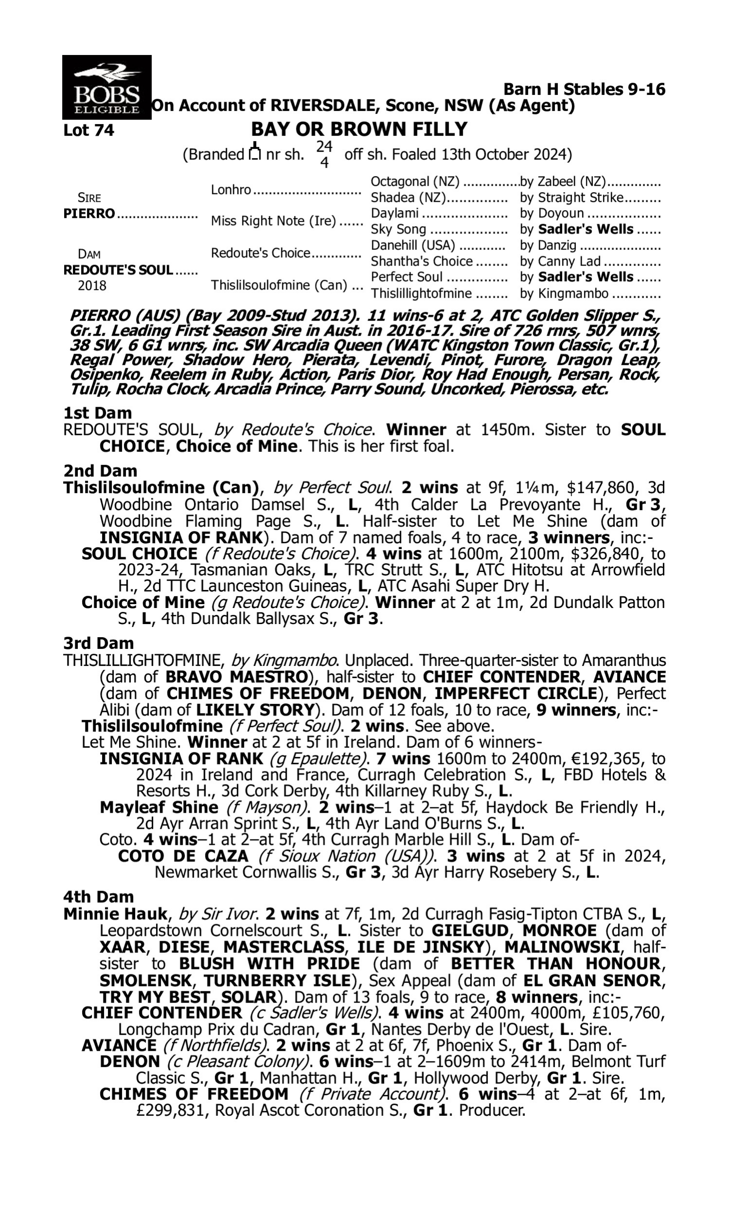 Pedigree for Lot 74 Pierro - Redoute's Soul