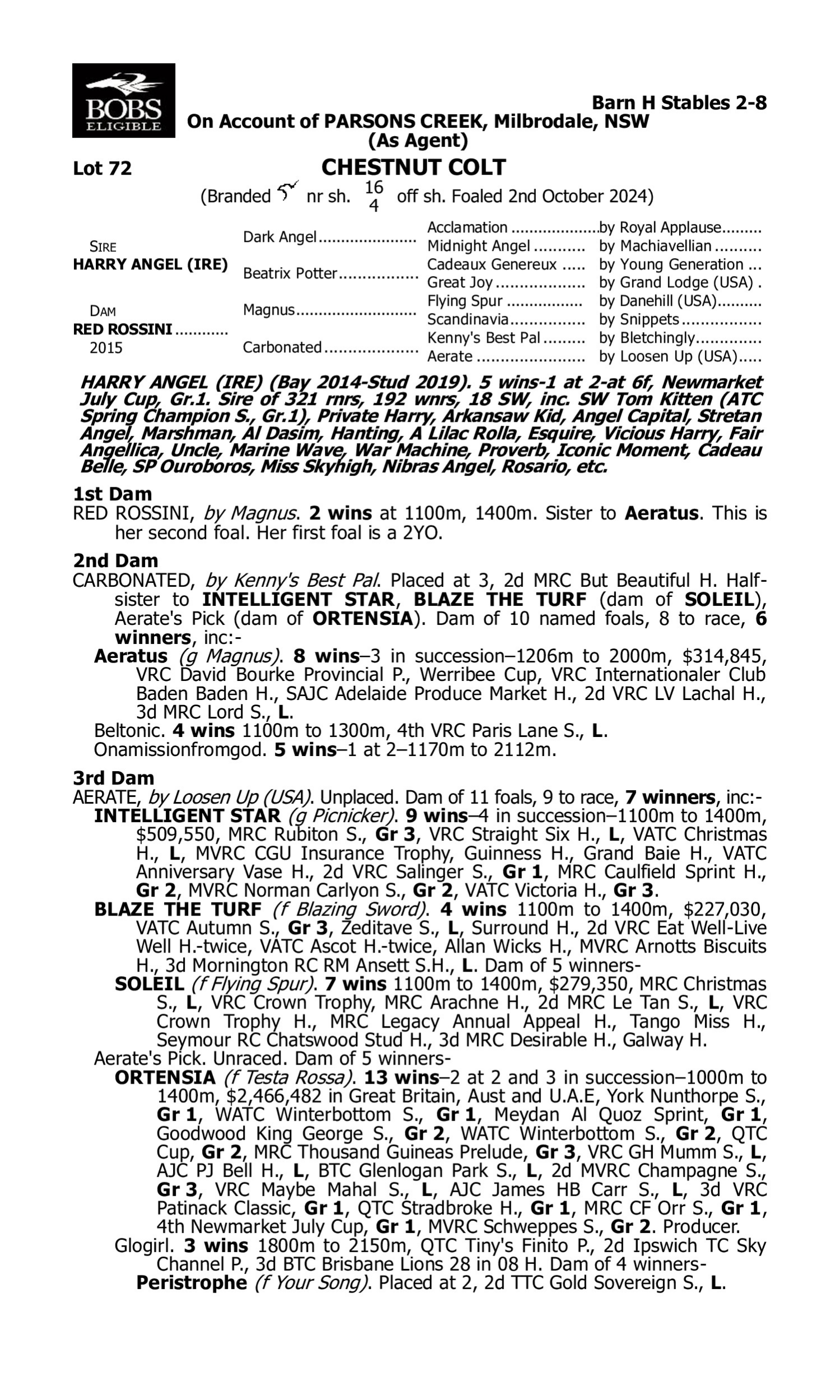 Pedigree for Lot 72 Harry Angel (IRE) - Red Rossini