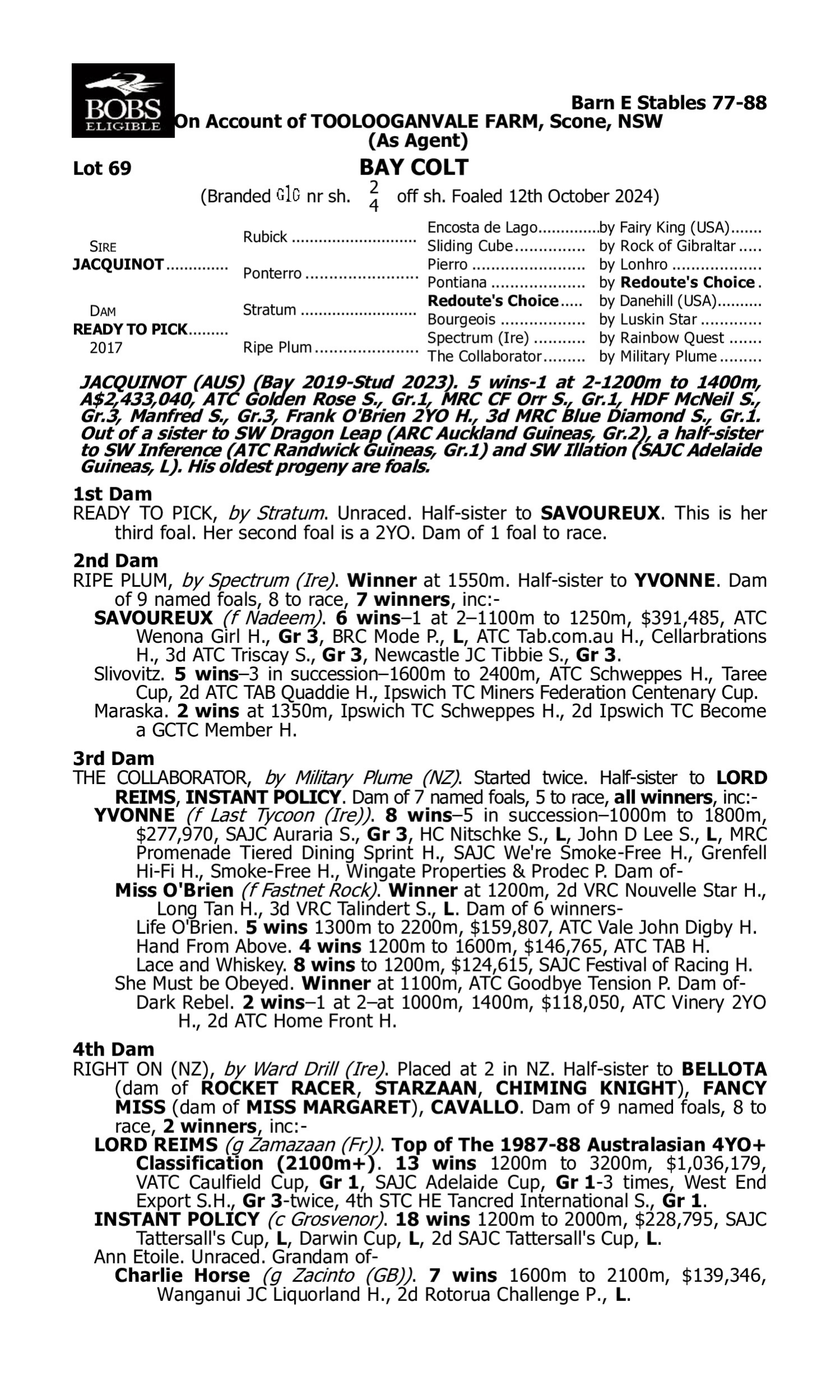 Pedigree for Lot 69 Jacquinot - Ready to Pick