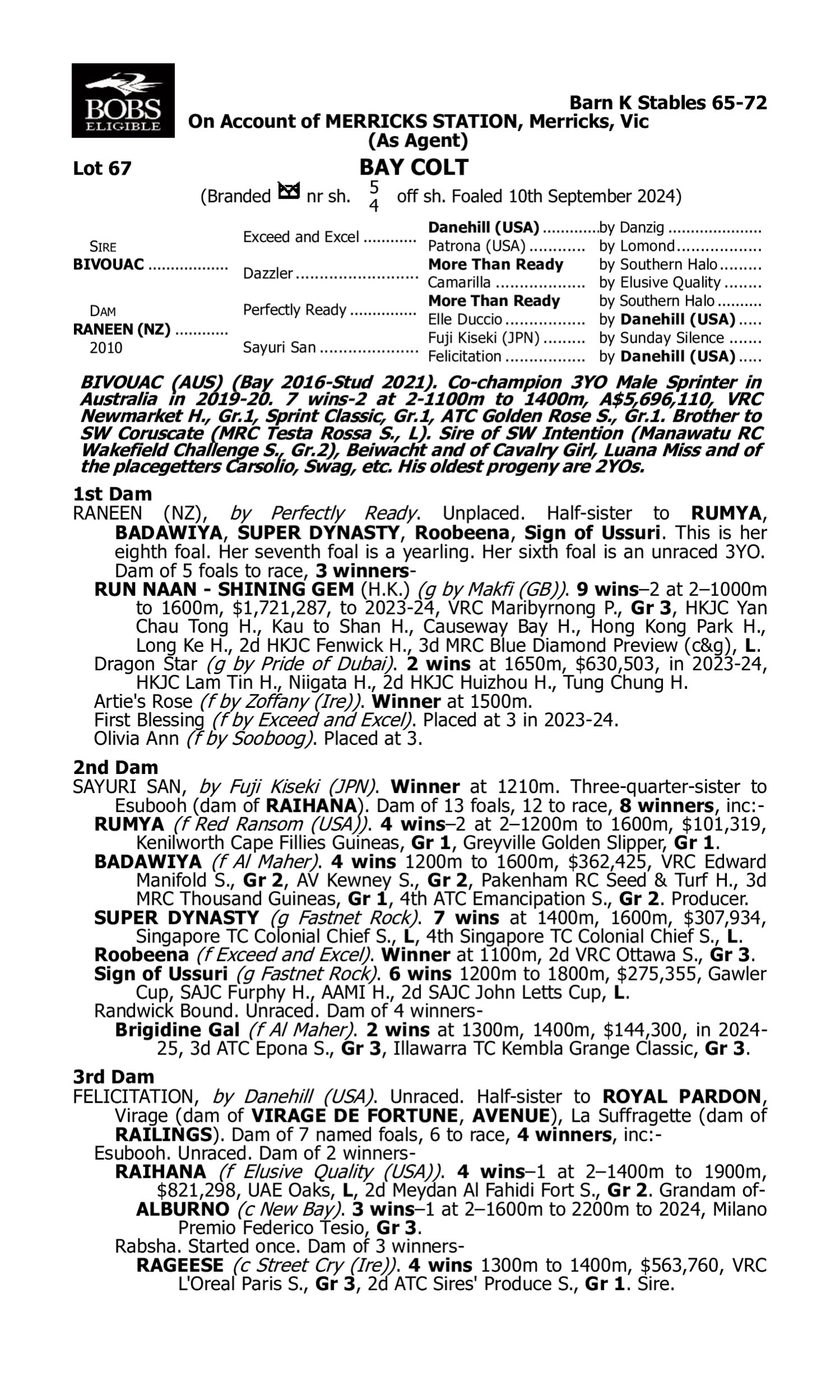 Pedigree for Lot 67 Bivouac - Raneen (NZ)