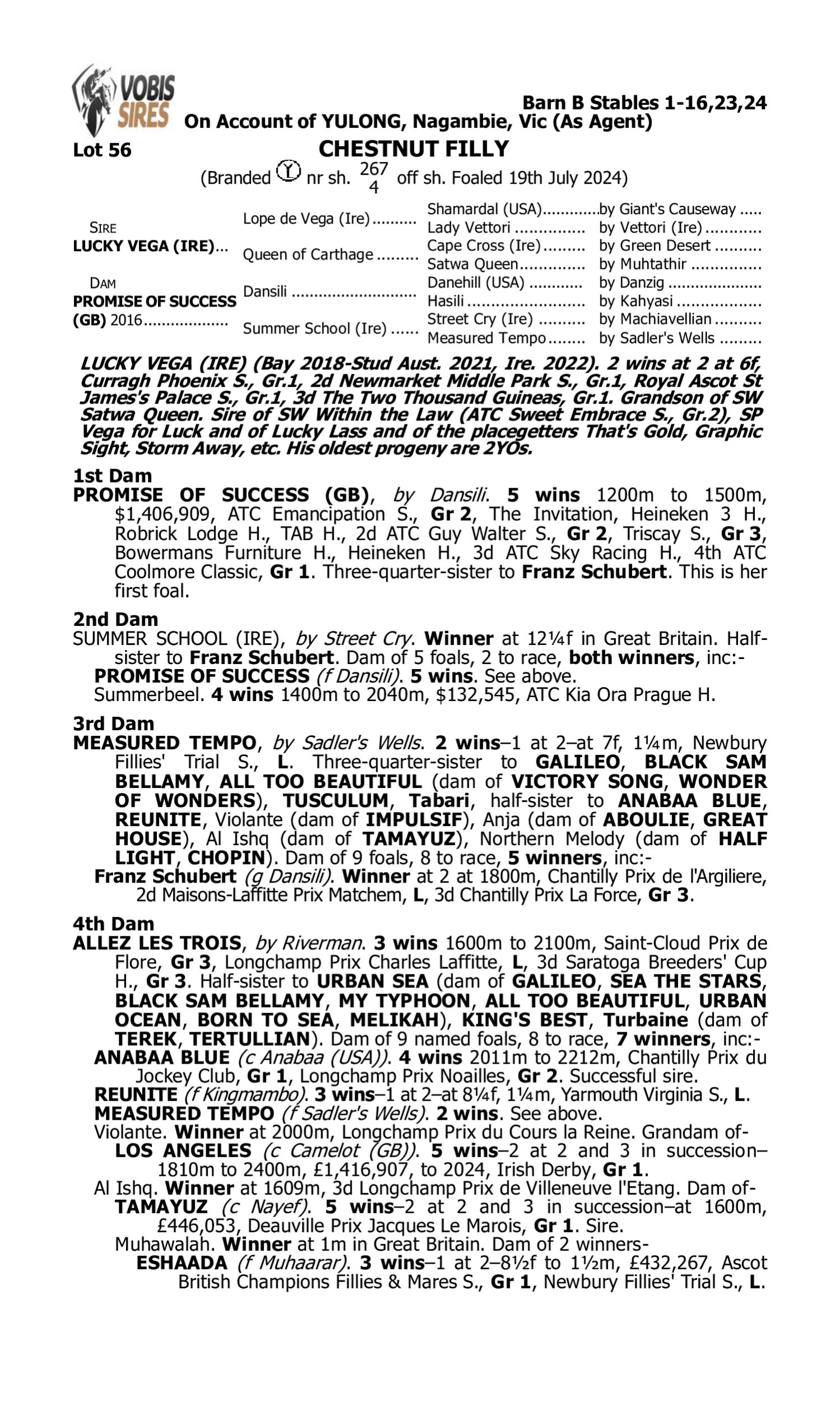 Pedigree for Lot 56 Lucky Vega (IRE) - Promise of Success (GB)