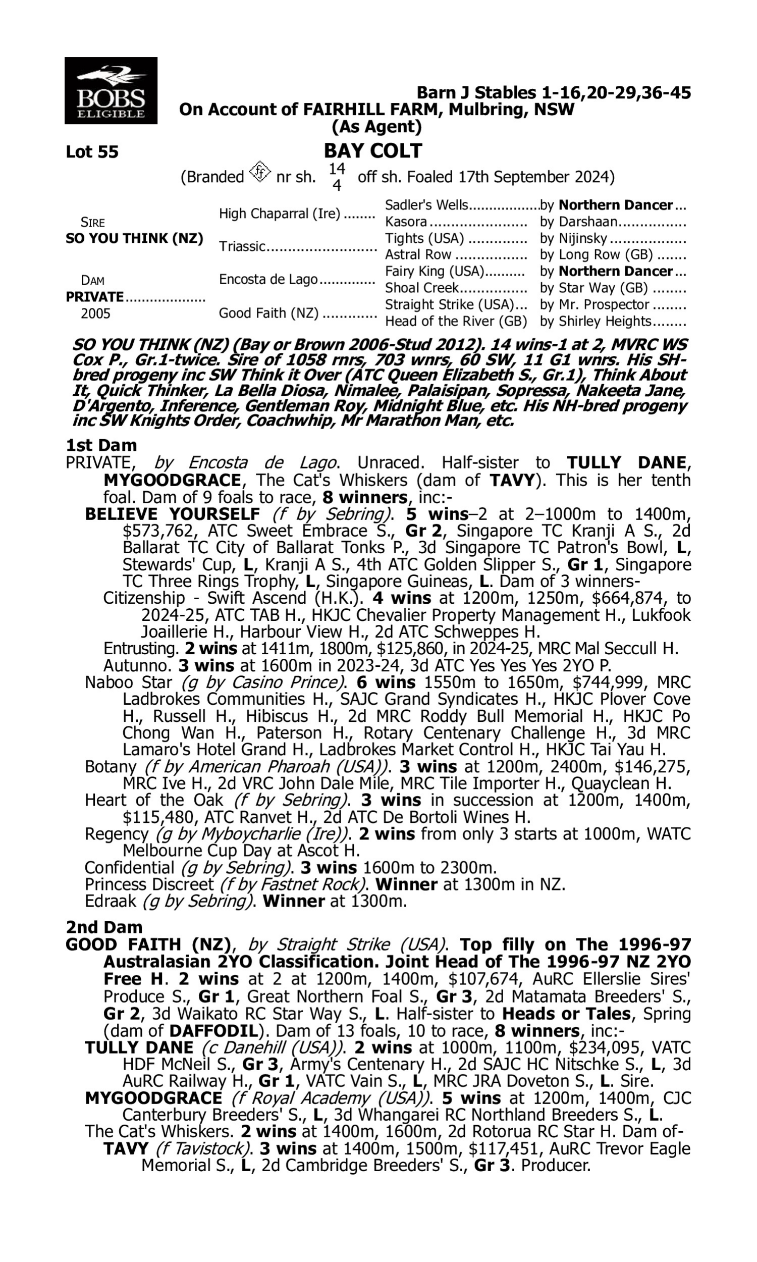 Pedigree for Lot 55 So You Think (NZ) - Private