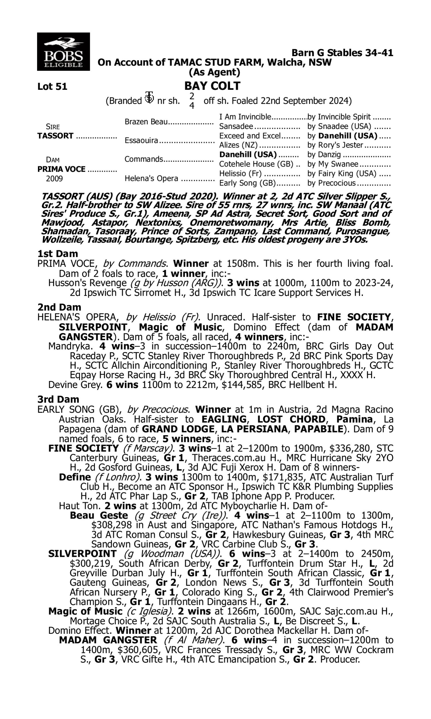 Pedigree for Lot 51 Tassort - Prima Voce